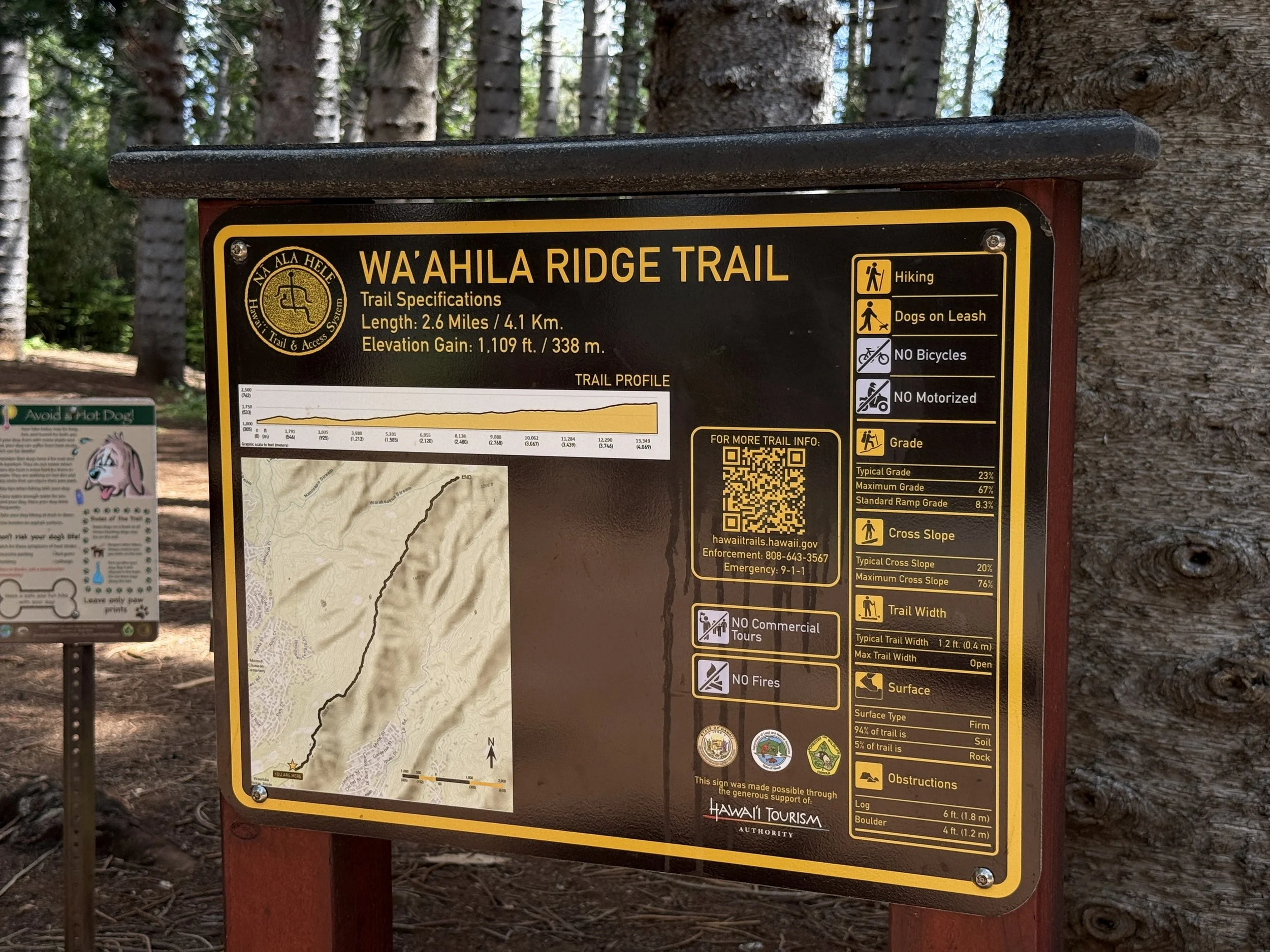 Hiking the Waʻahila Ridge Trail to Mt. Olympus (ʻAwaʻawaloa) on Oʻahu ...