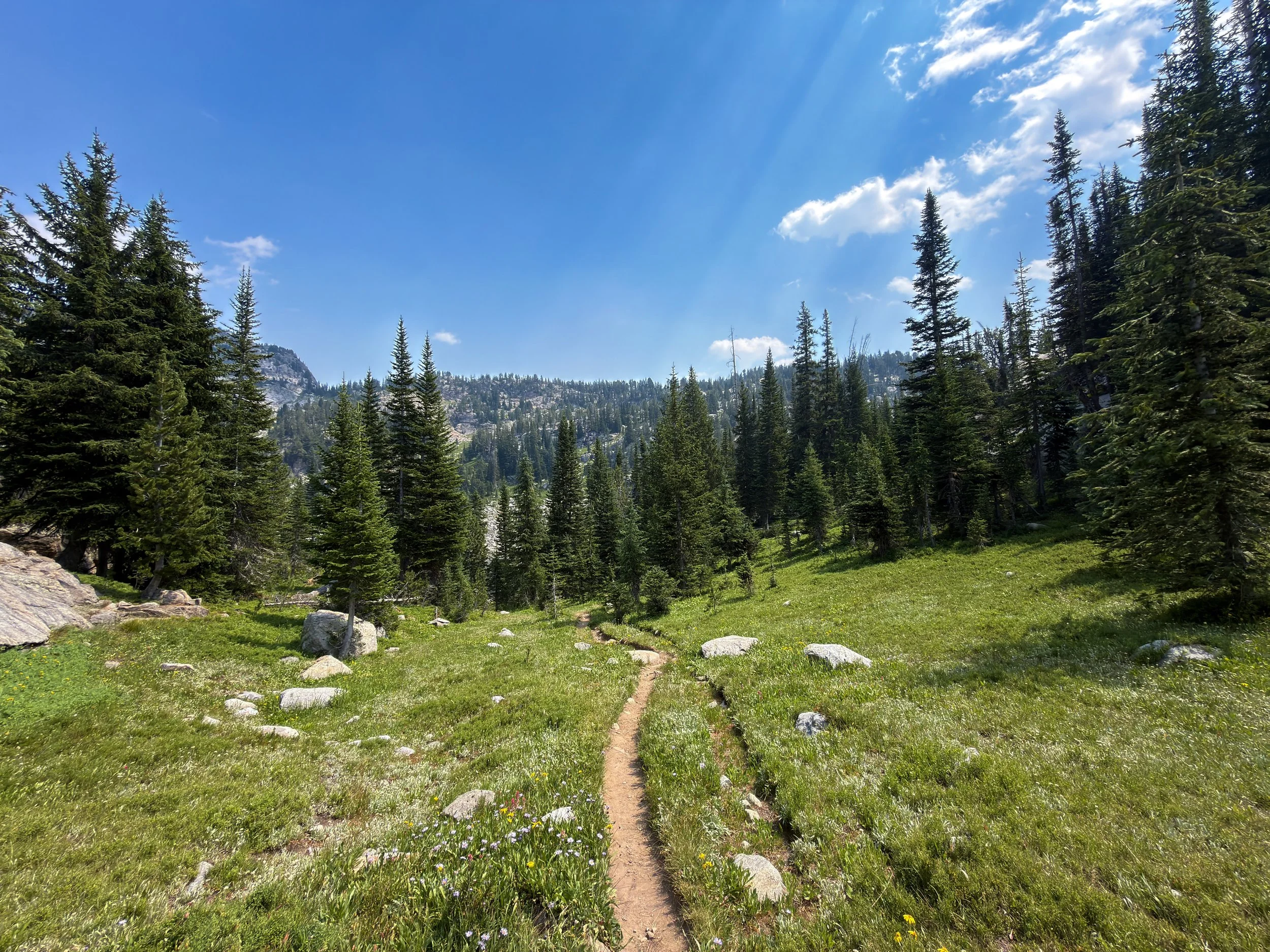 Russel Creek Trail The Beaten Path Beartooth Mountains Montana