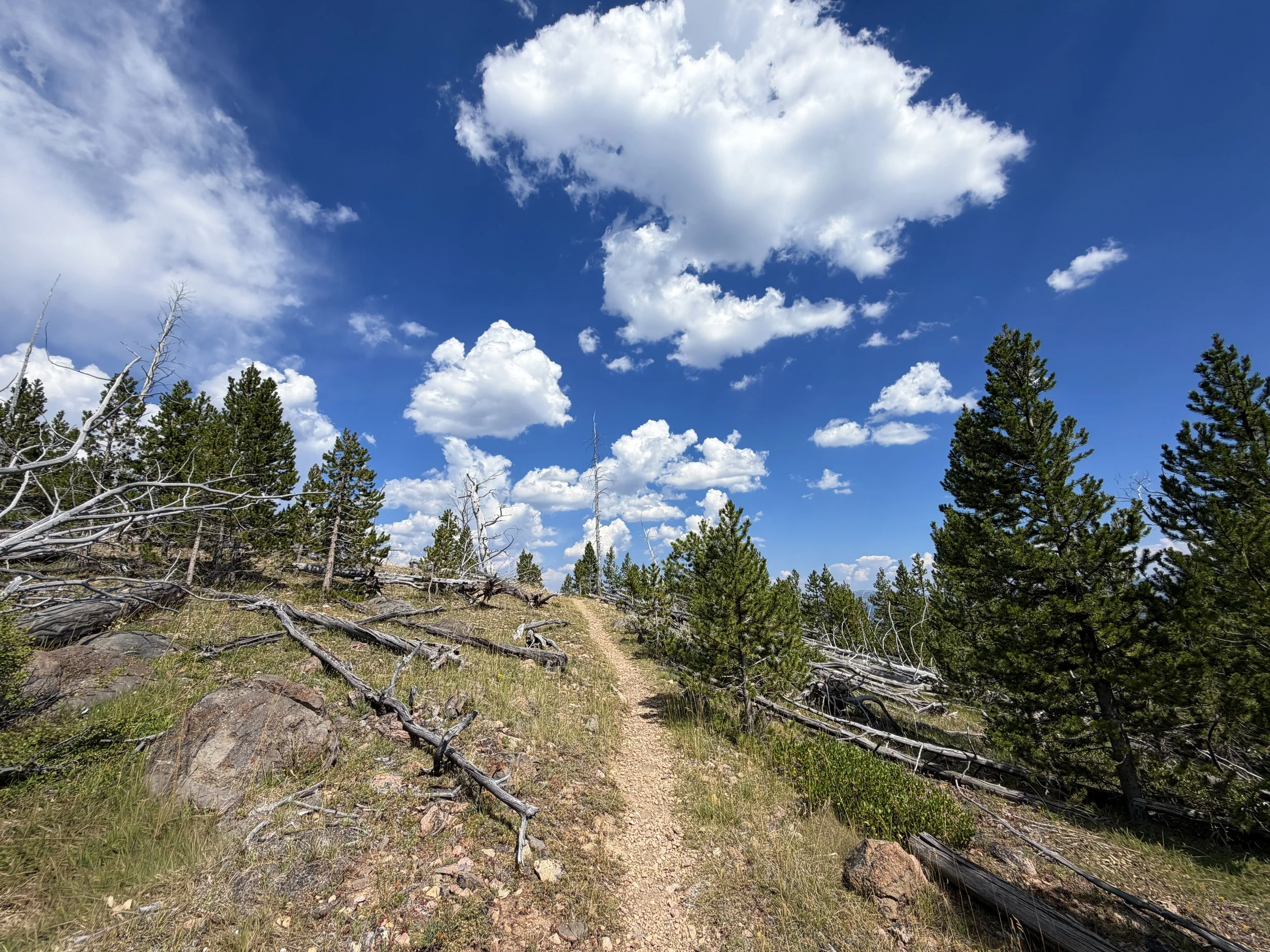 Bunsen Peak Trail to Osprey Falls Yellowstone National Park Wyoming