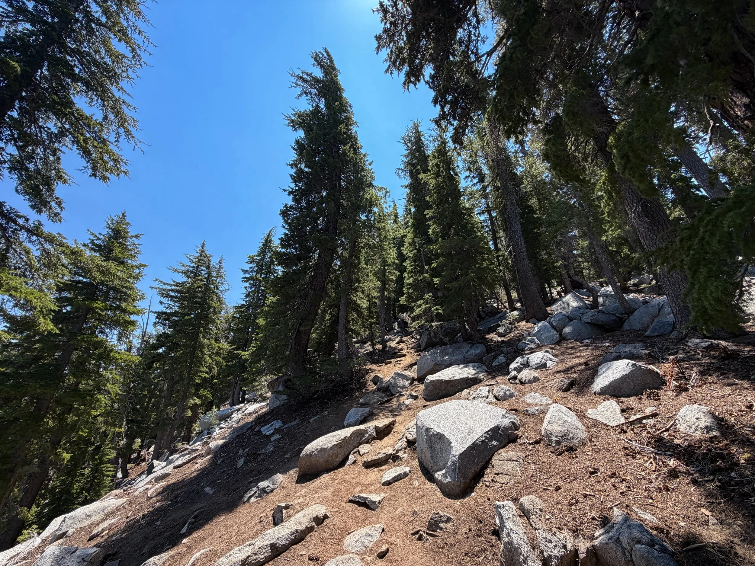Maggies Peak Trail Lake Tahoe California