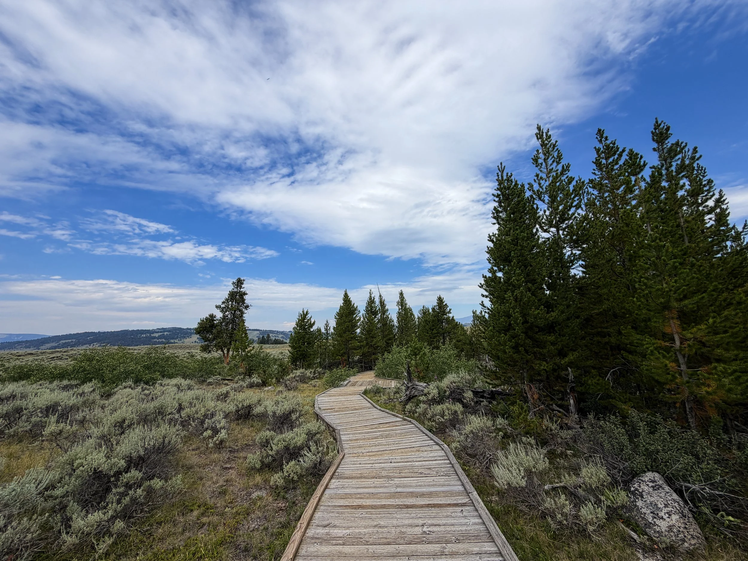 Forces of the Northern Range Trail Yellowstone National Park Wyoming