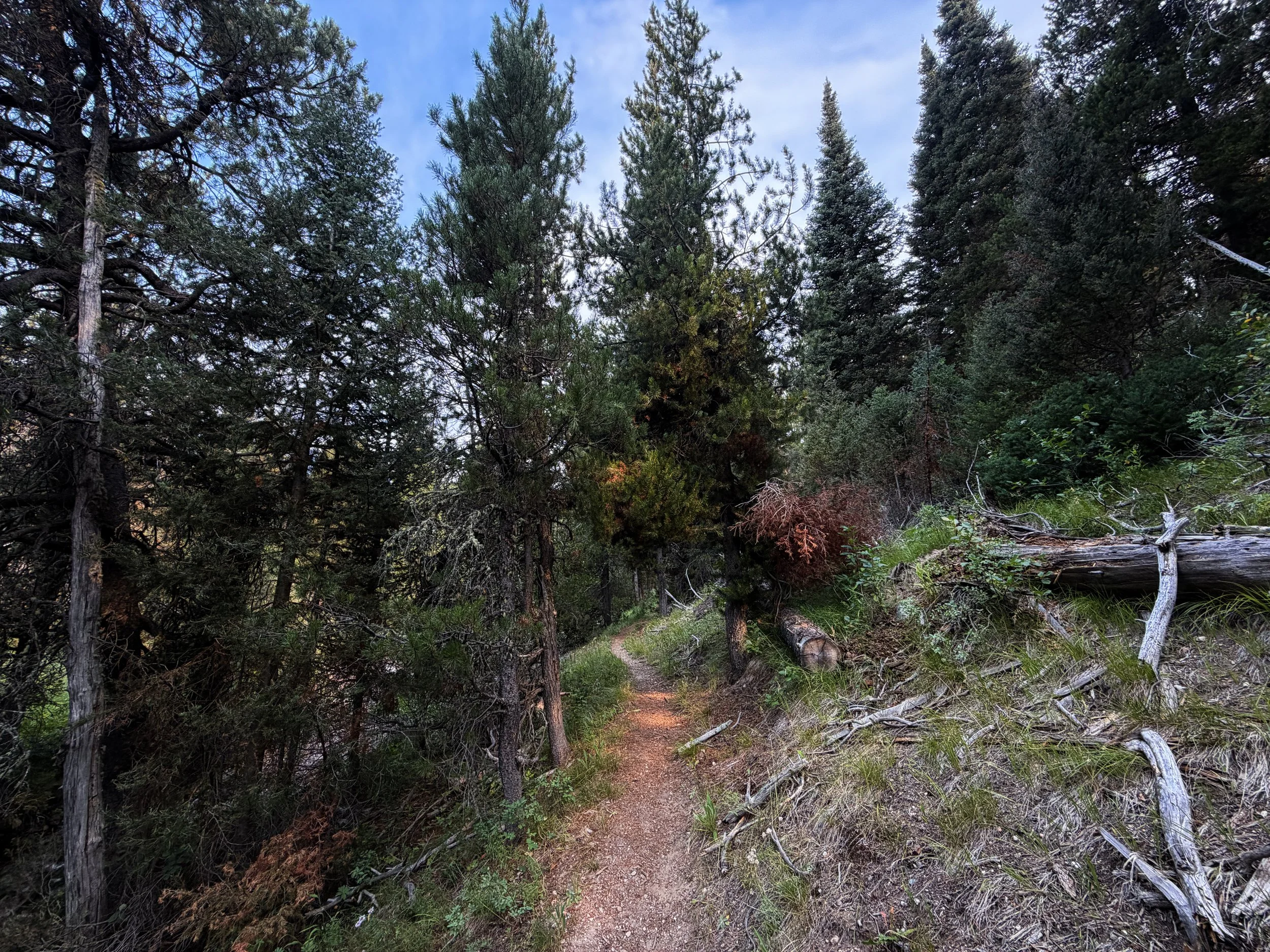 Boulder Aspen Ridge Loop Trail Grand Teton National Park Wyoming