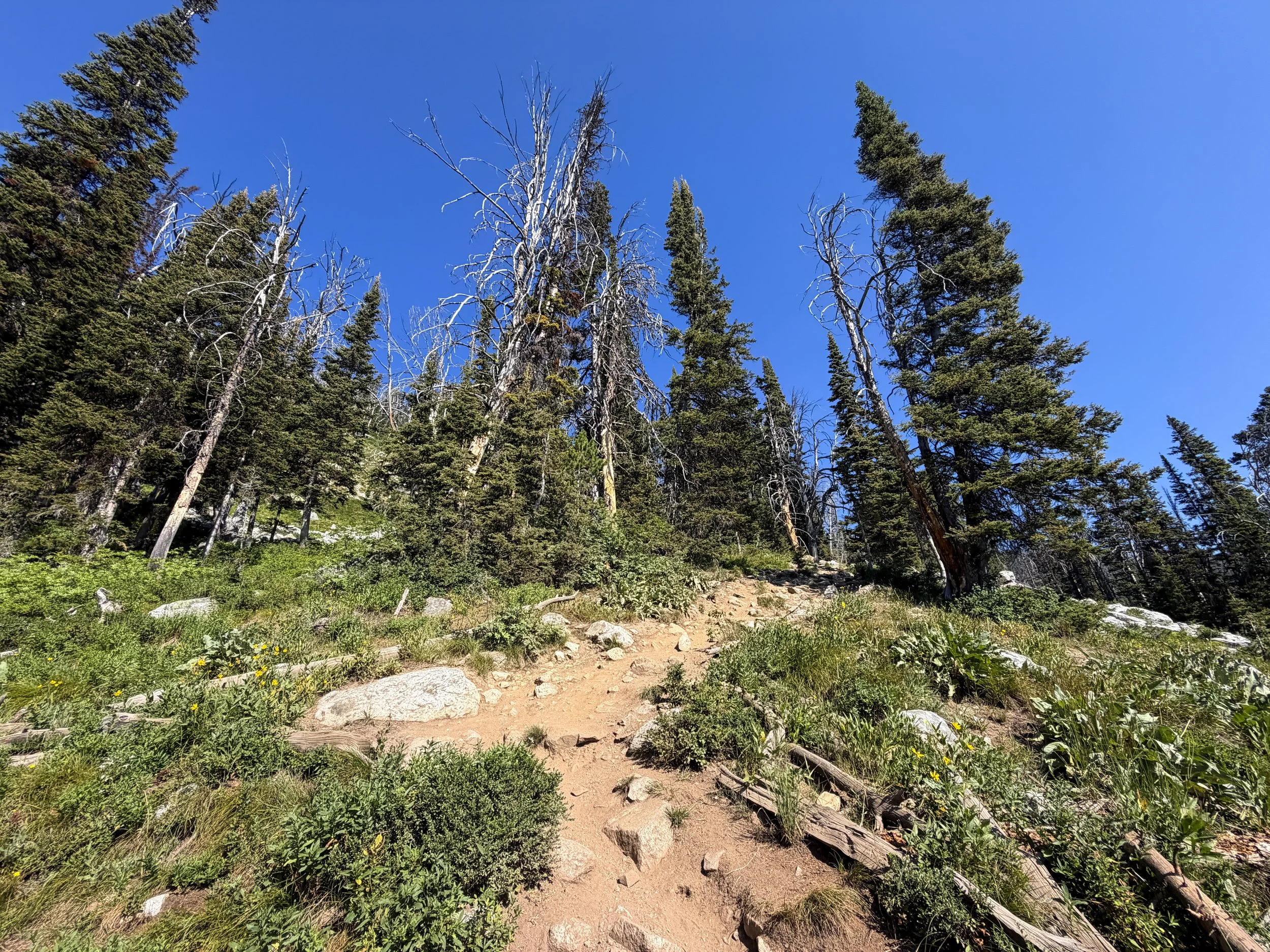 Delta Lake Trail Grand Teton National Park Wyoming
