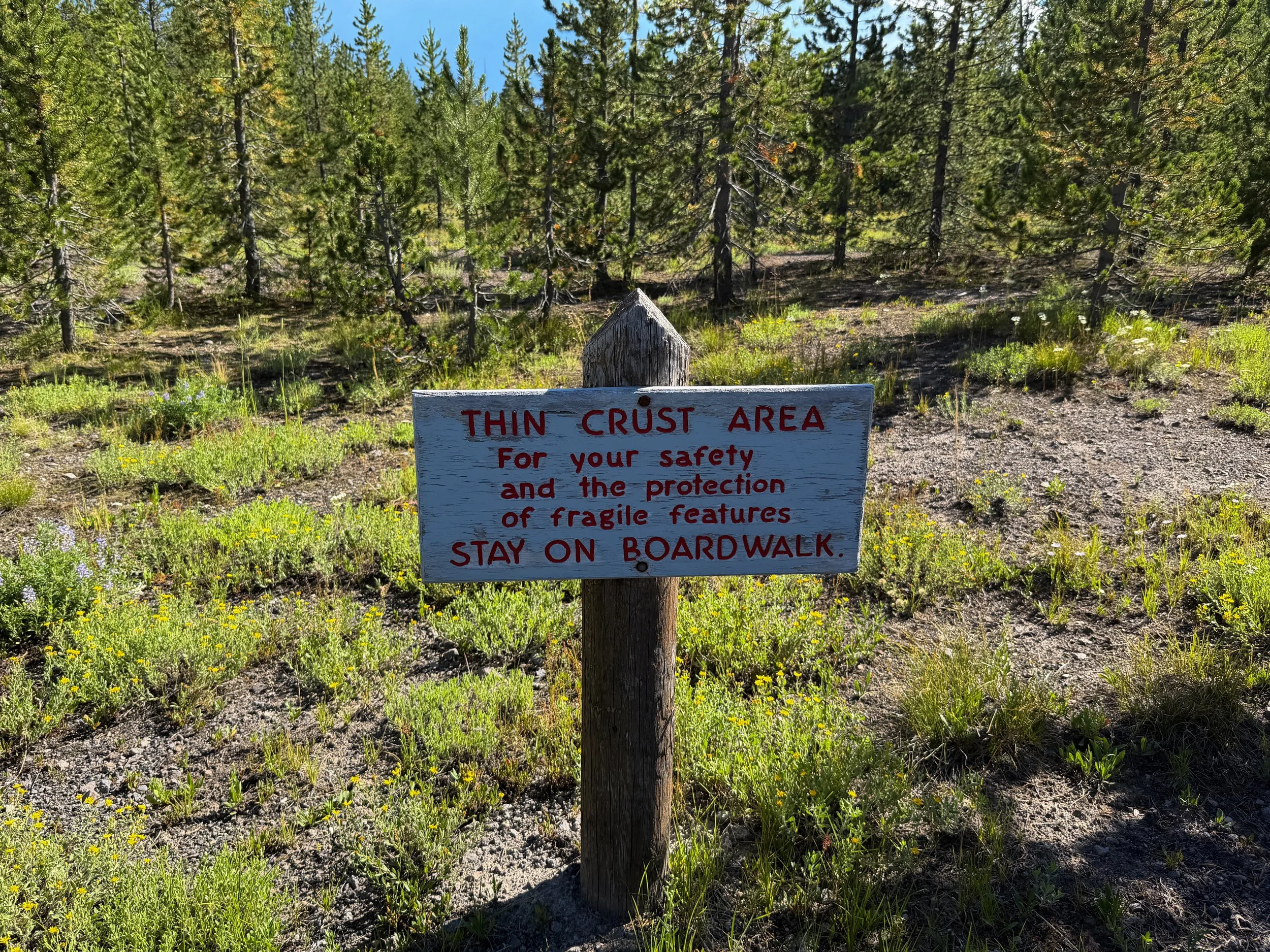 West Thumb Geyser Basin Trail Yellowstone National Park Wyoming