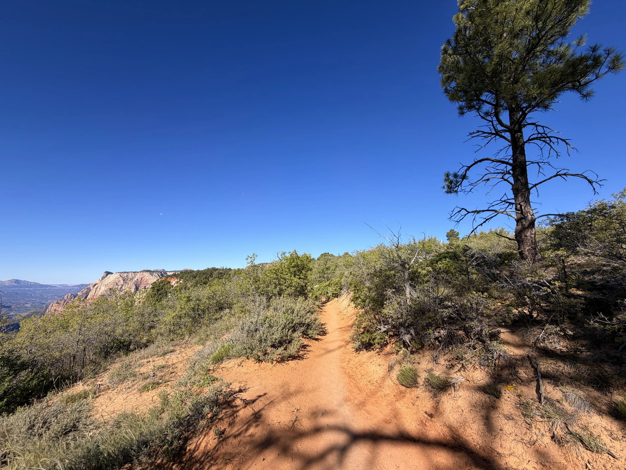 Observation Point Trail Zion National Park Utah