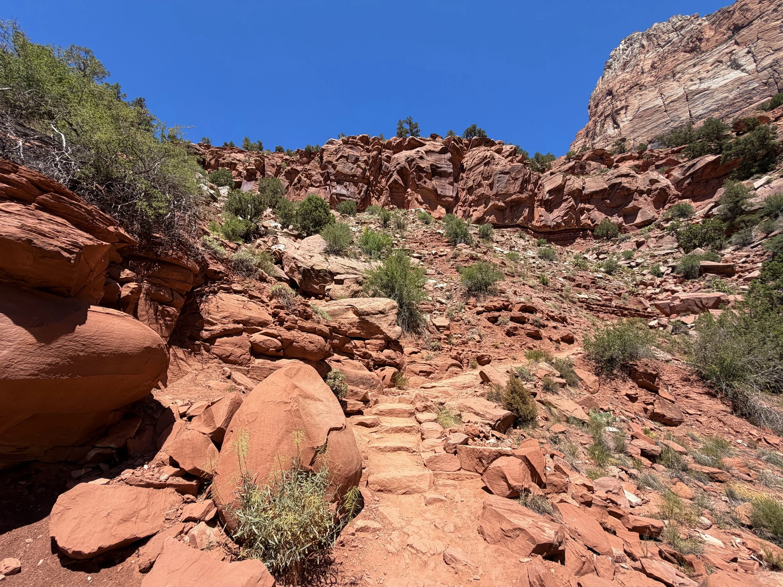 Watchman Hike Zion National Park Utah
