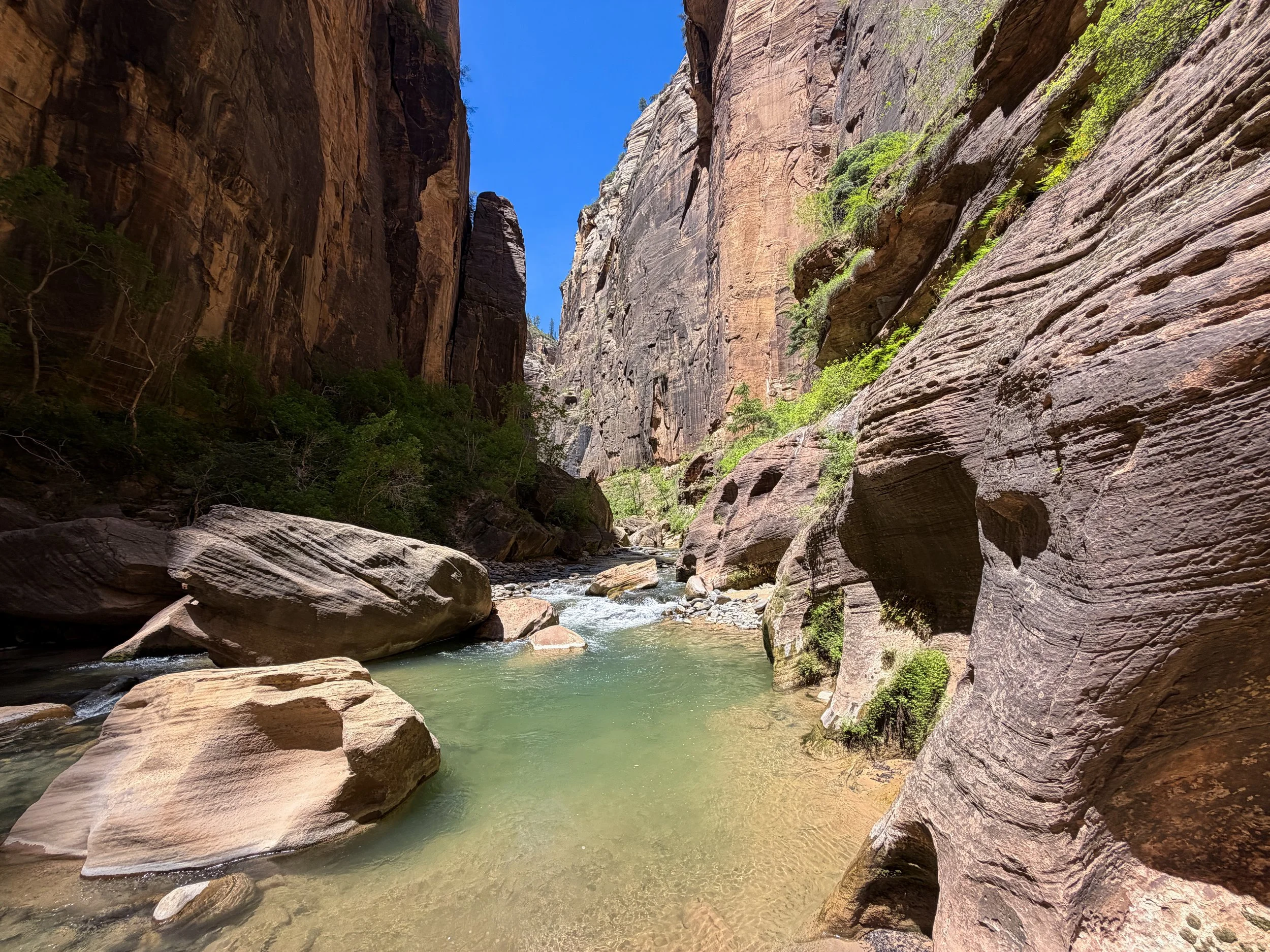 Narrows Bottom-Up to Big Springs Zion National Park Utah