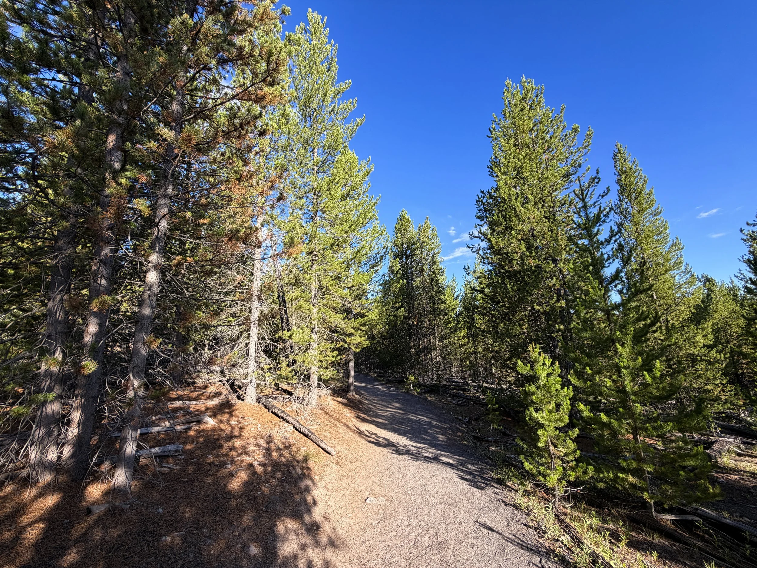 Fairy Falls Trail Yellowstone National Park Wyoming