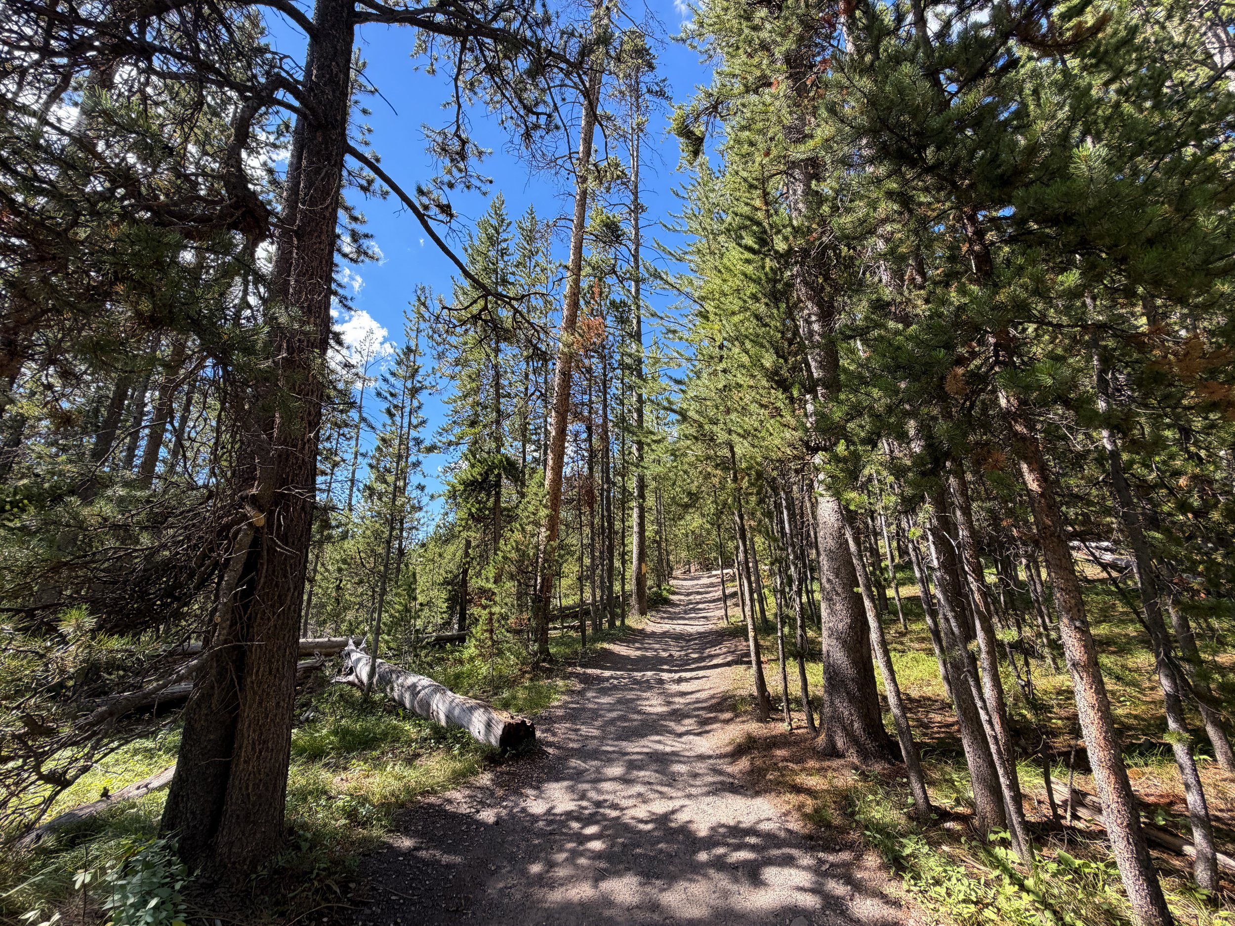 North Rim Trail Yellowstone National Park Wyoming