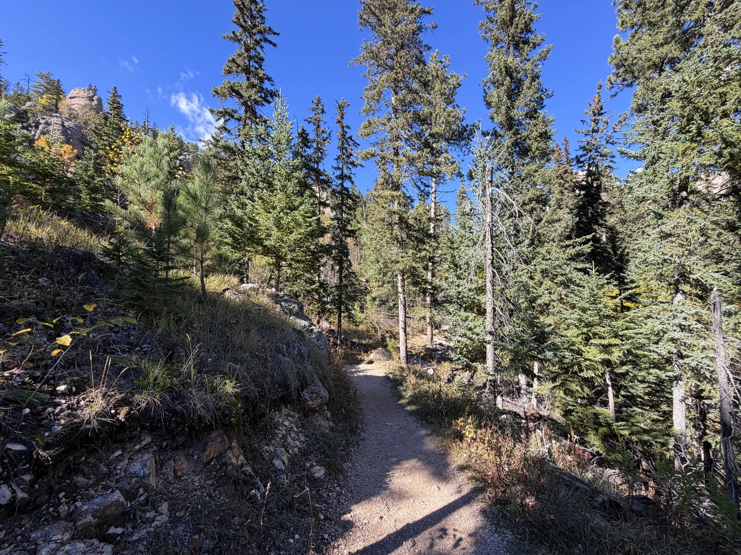 Cathedral Spires Trail Custer State Park Black Hills South Dakota