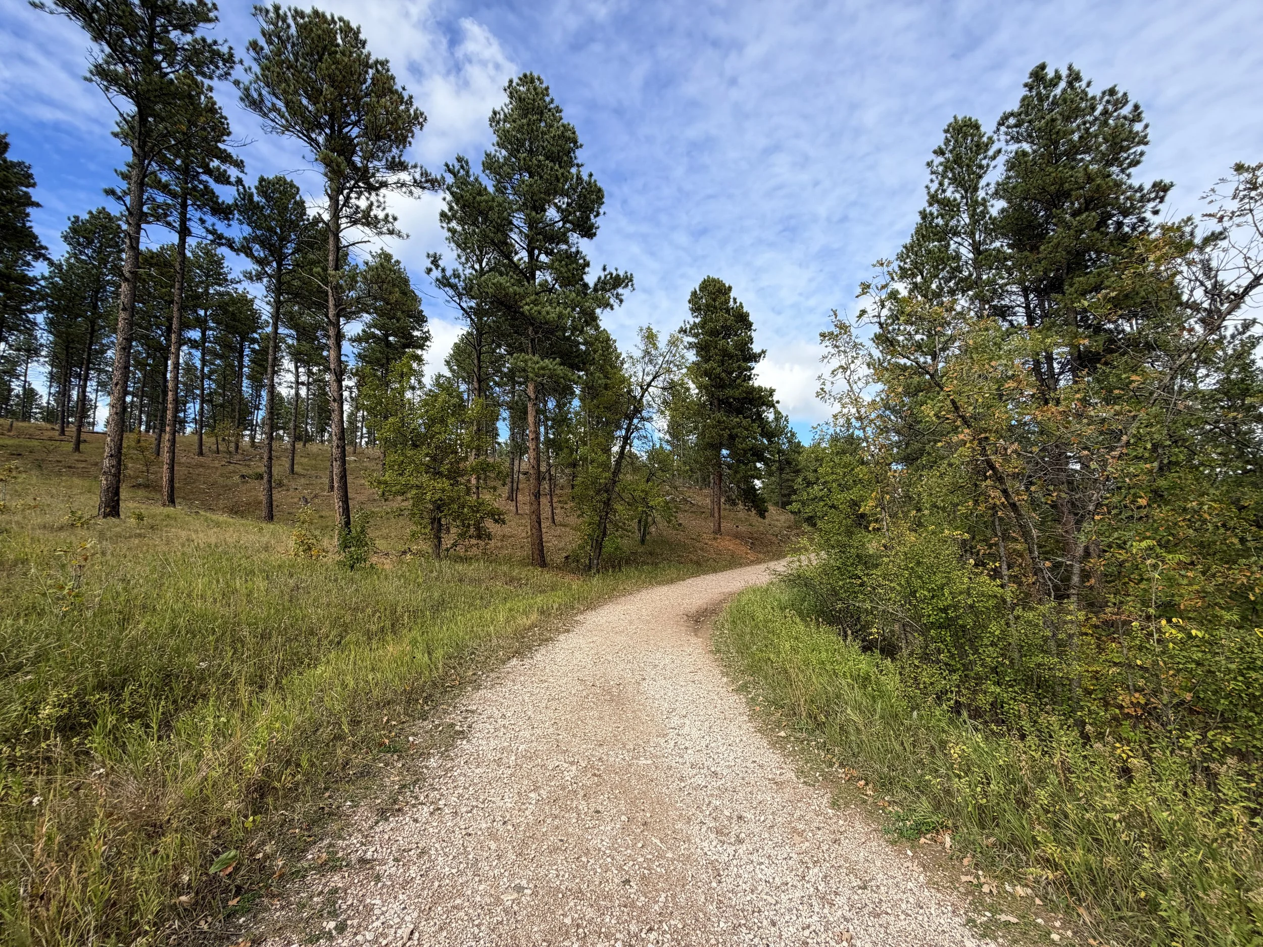 Stratobowl Rim Trail Black Hills South Dakota