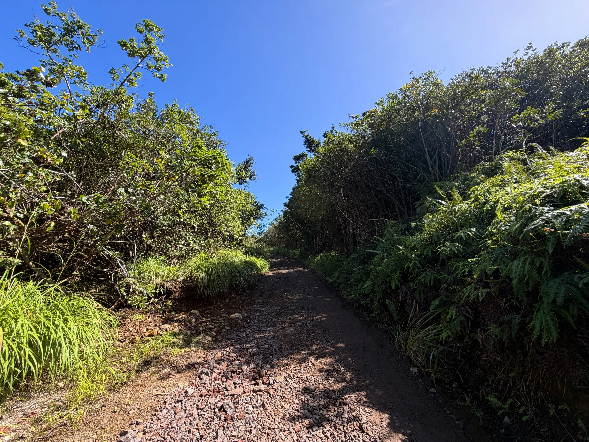 Tripler Ridge Trail via Kamananui Valley Road Oahu Hawaii