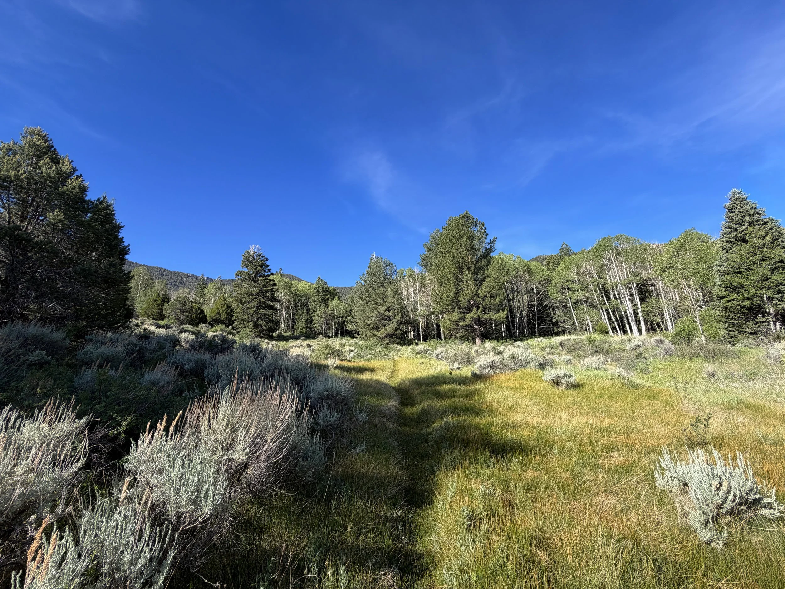 Pole Canyon Loop Trail Great Basin National Park Nevada