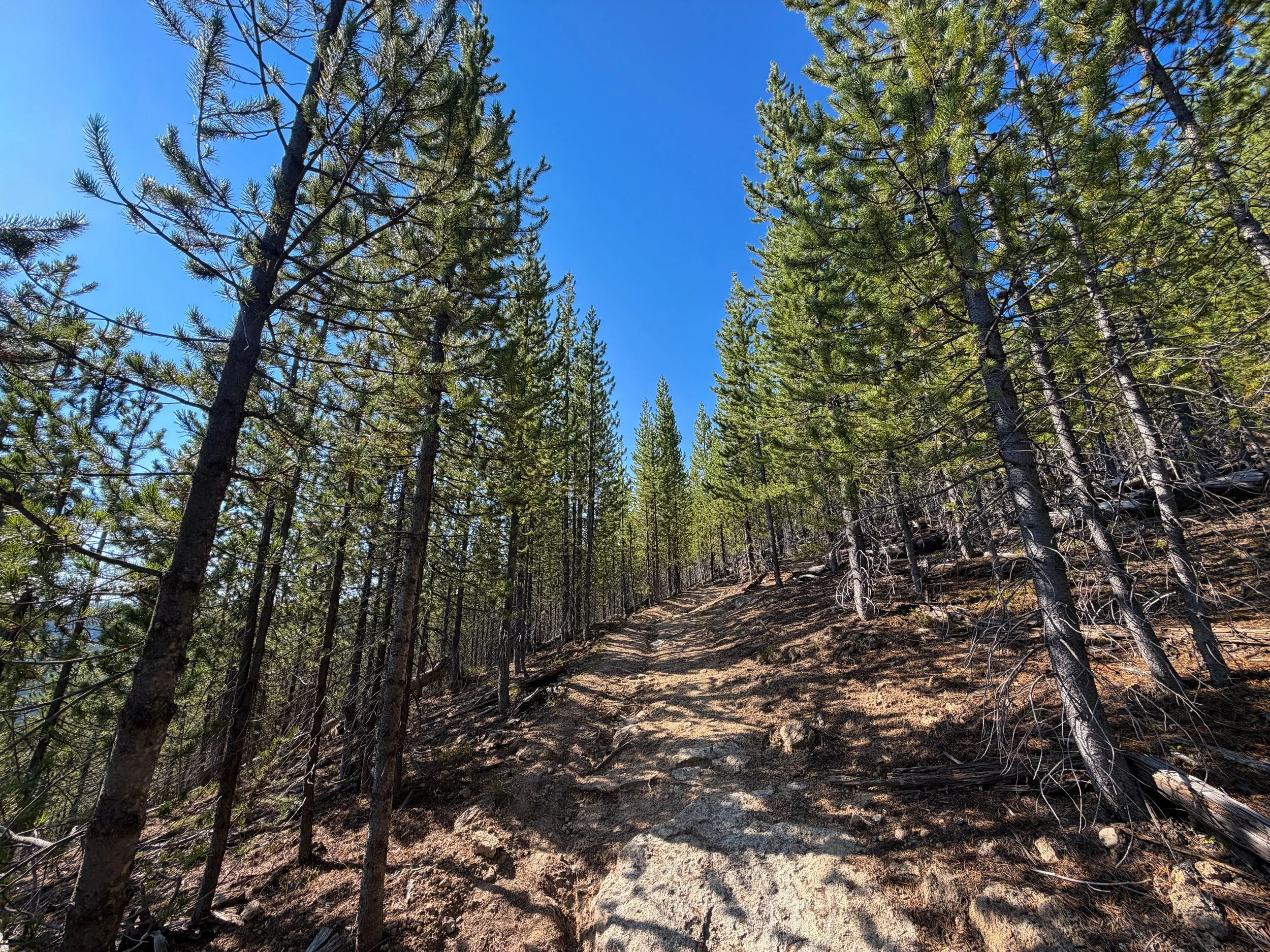 Monument Geyser Basin Trail Yellowstone National Park Wyoming