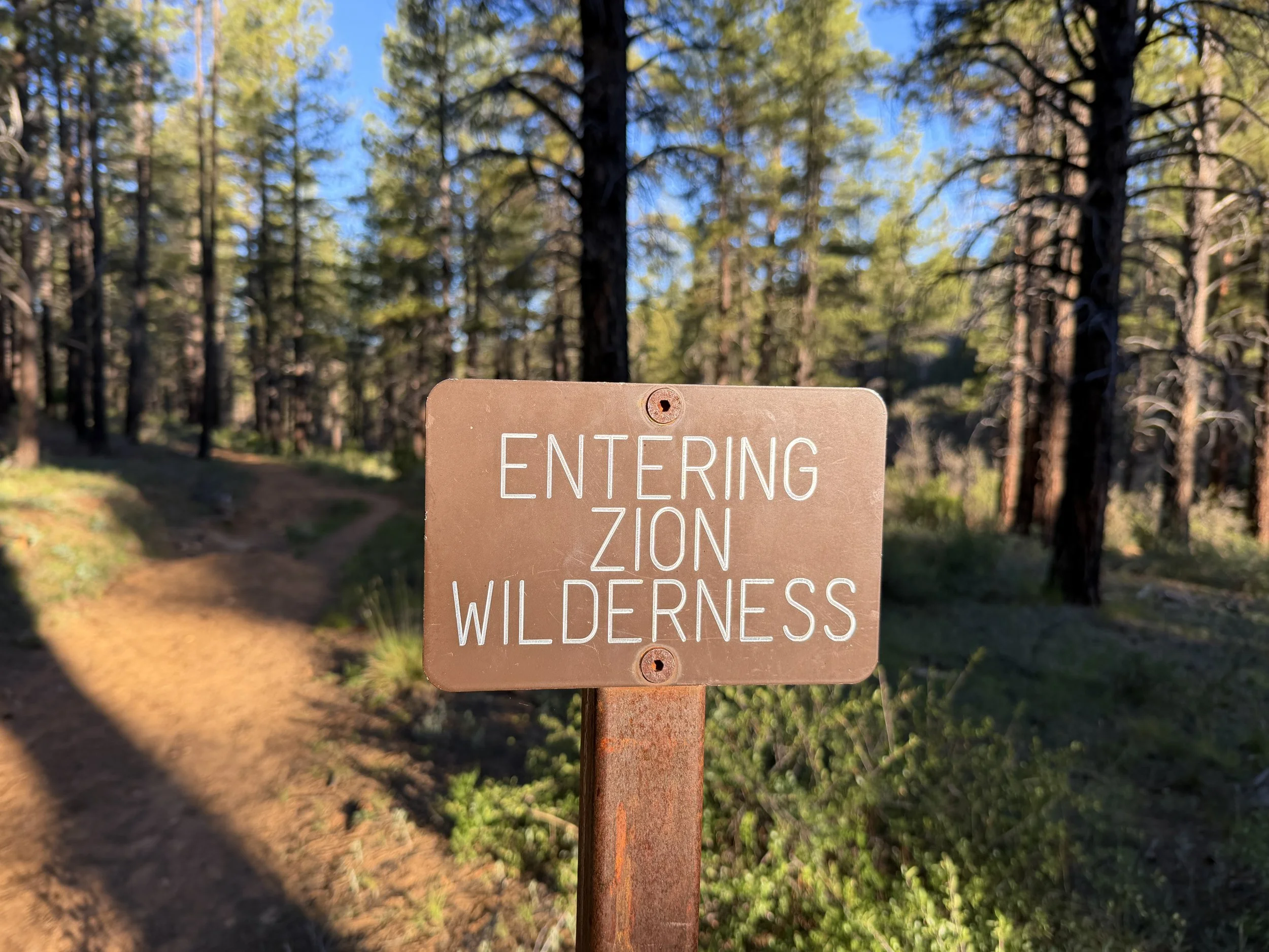 Deertrap Mountain Trail Zion National Park Utah