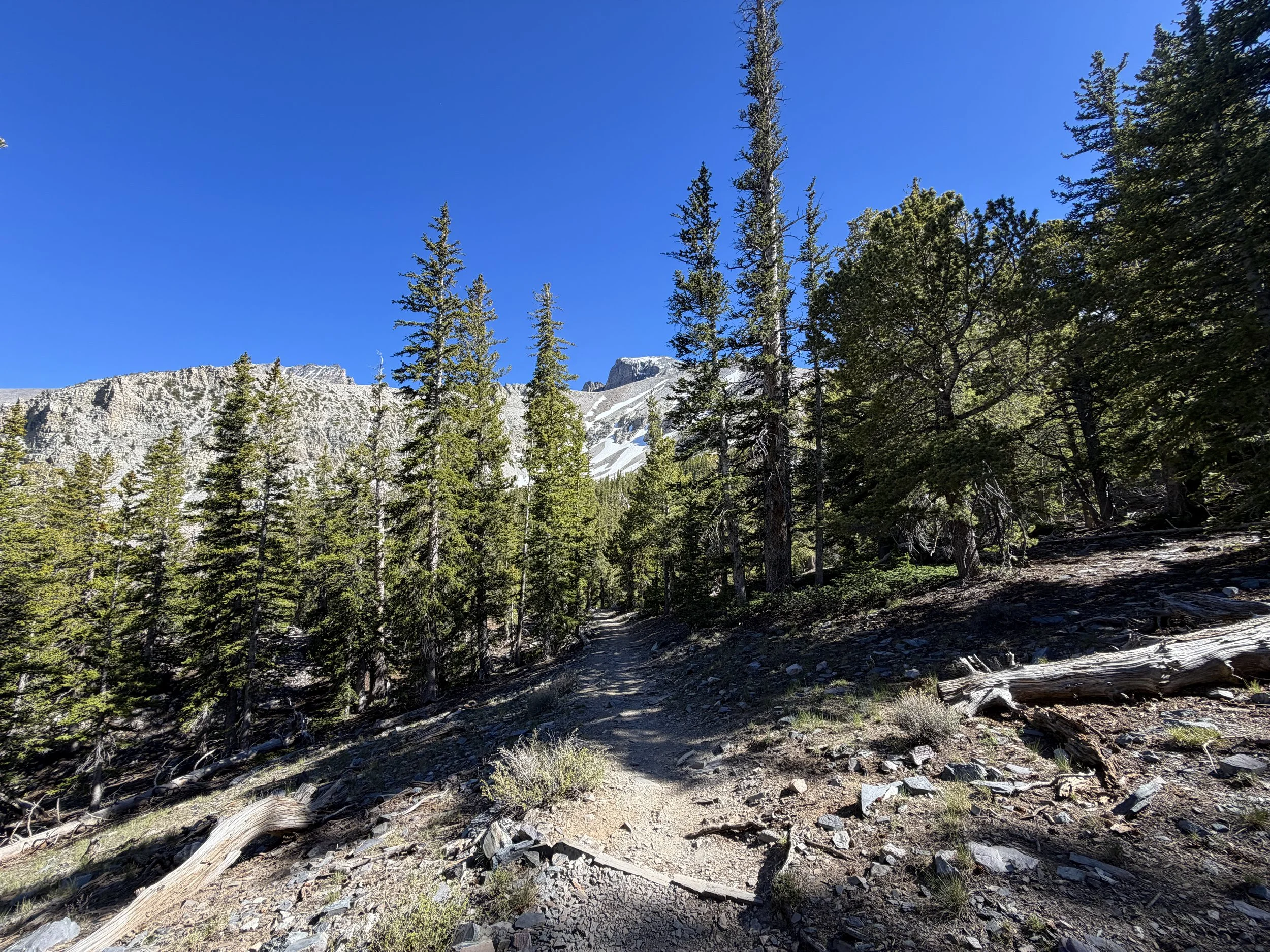 Alpine Lakes Loop Trail Great Basin National Park Nevada