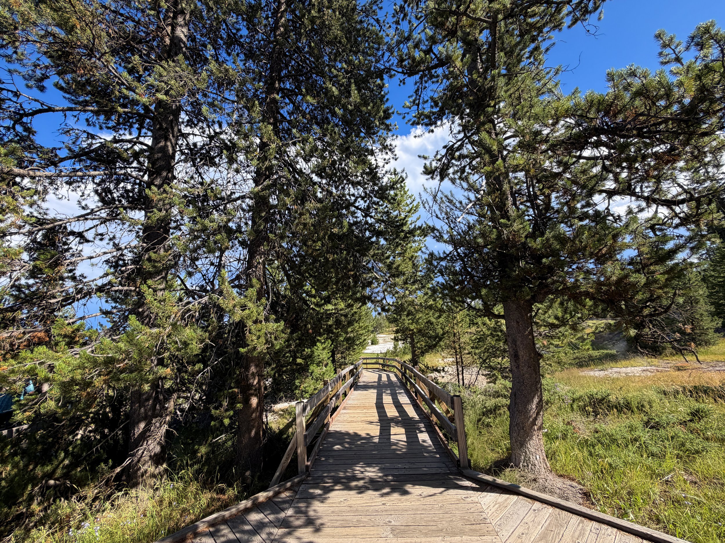 West Thumb Geyser Basin Trail Yellowstone National Park Wyoming
