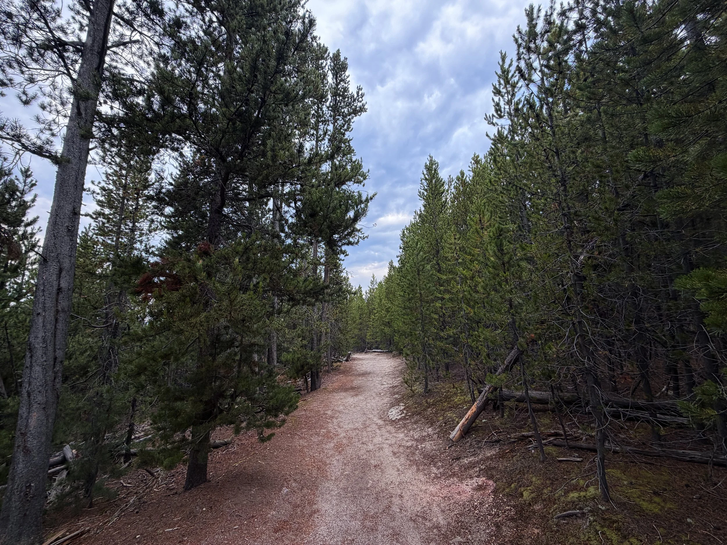 Back Basin Shortcut Trail Norris Geyser Basin Yellowstone National Park Wyoming