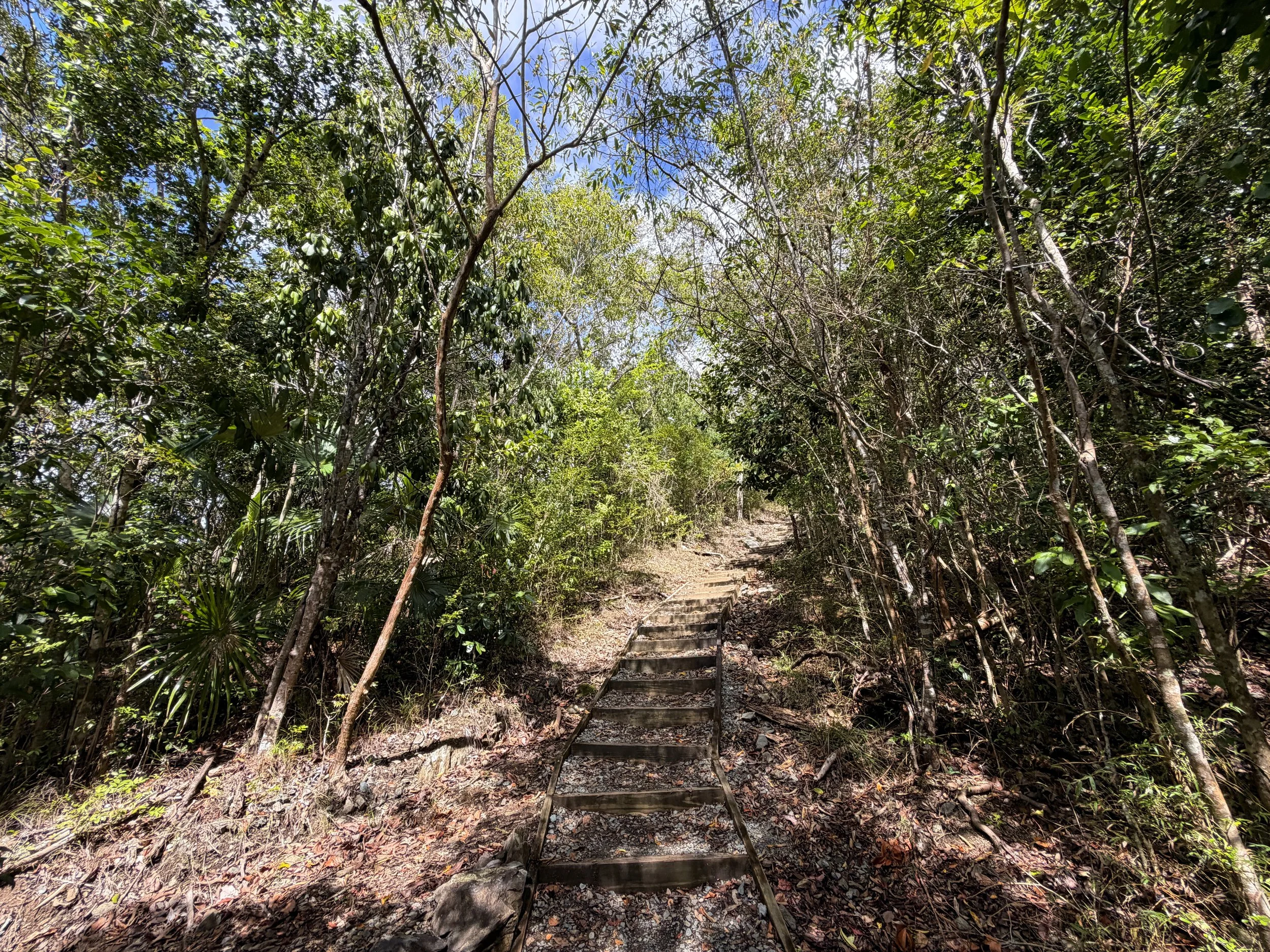 America Hill Trail Virgin Islands National Park