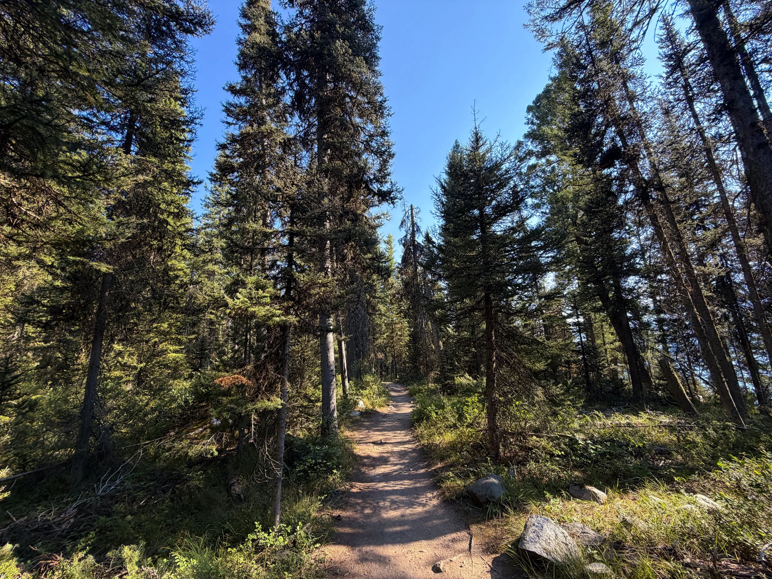 Jenny Lake Loop Trail Grand Teton National Park Wyoming
