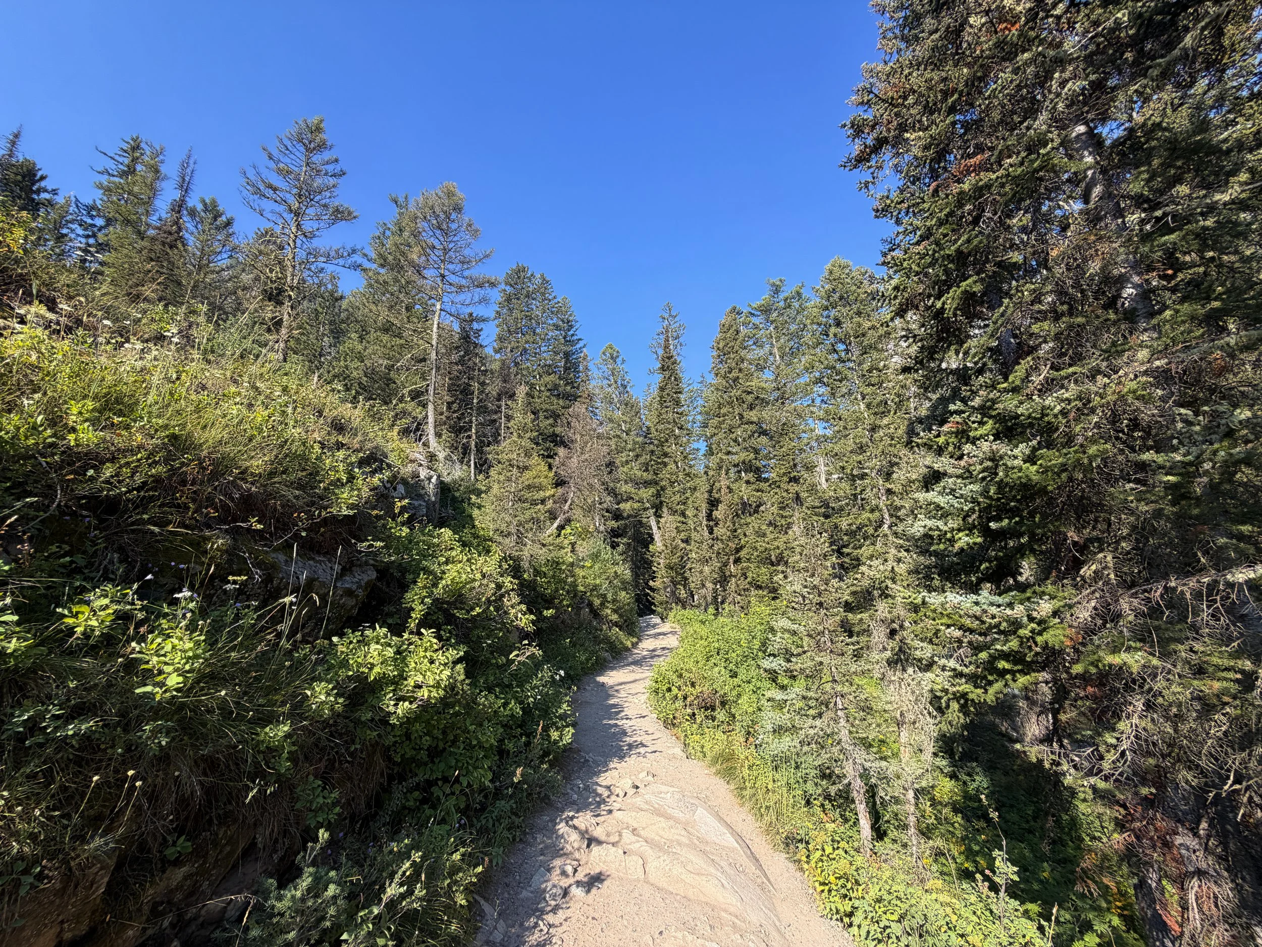 Hidden Falls Trail Grand Teton National Park Wyoming