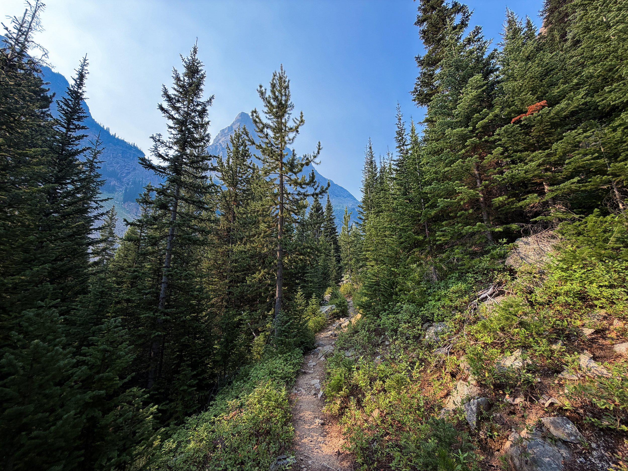 East Rosebud Trail Beaten Path Beartooth Mountains Montana