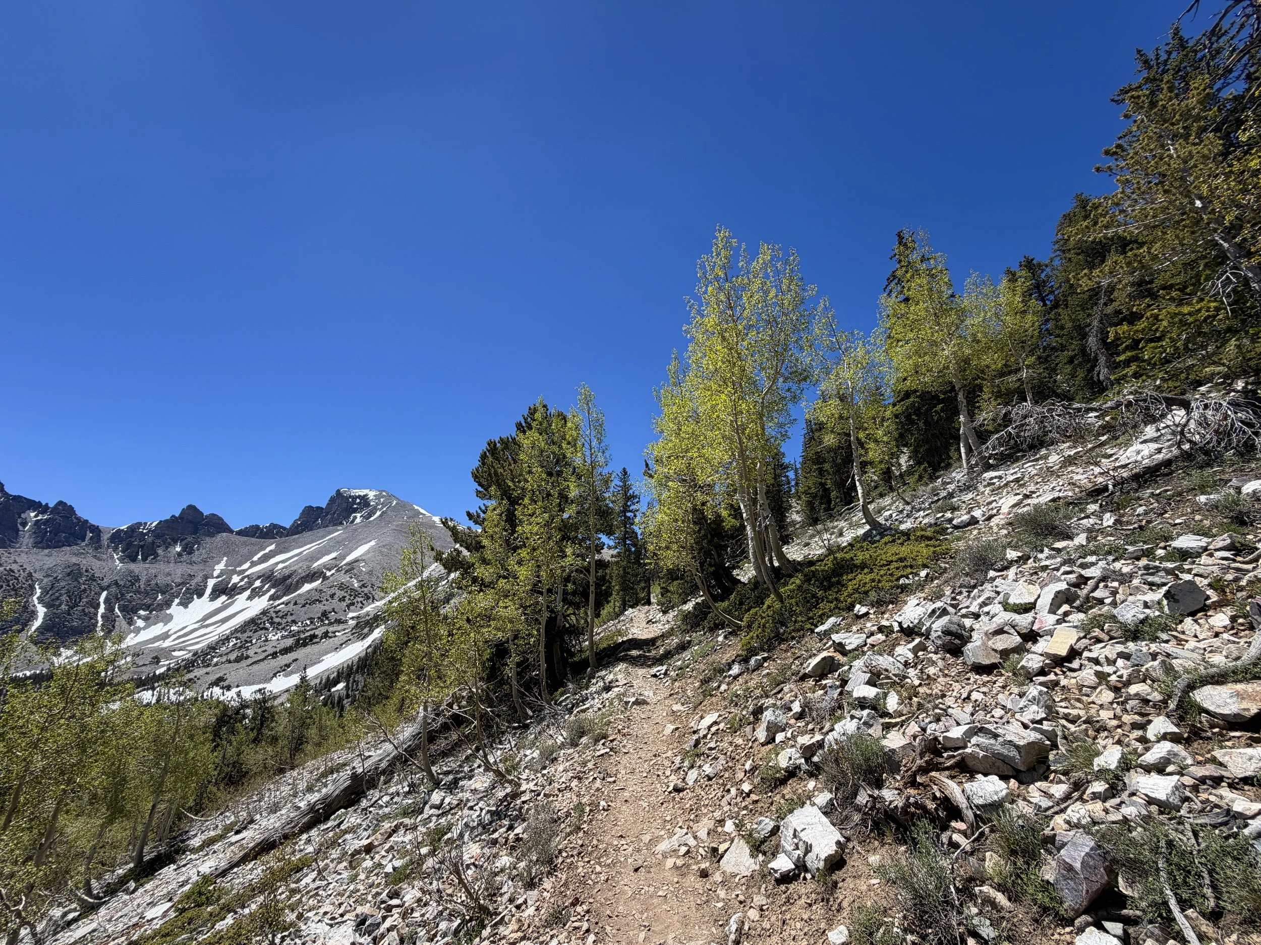 Wheeler Peak Summit Trail Great Basin National Park Nevada