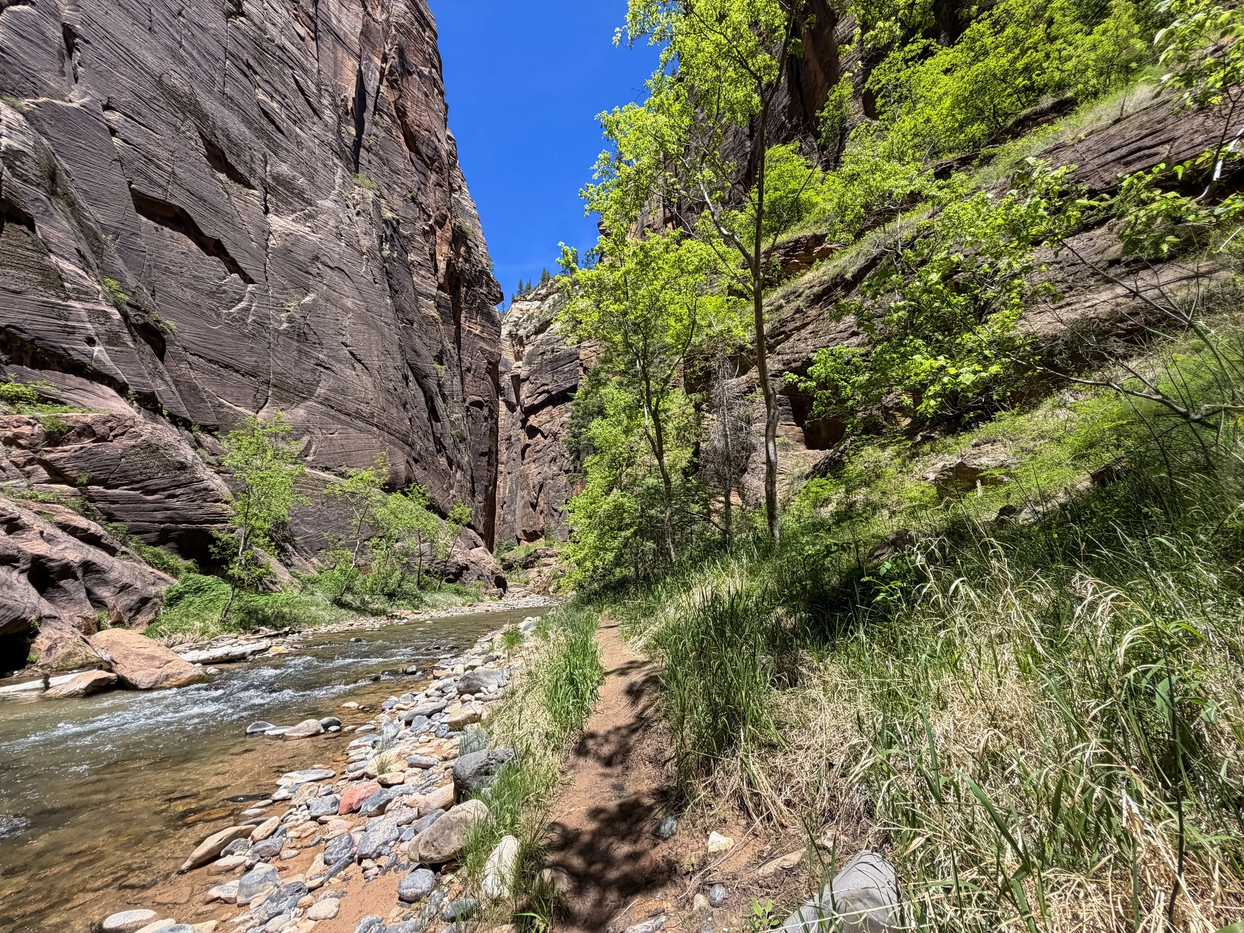 Narrows Hike Zion National Park Utah