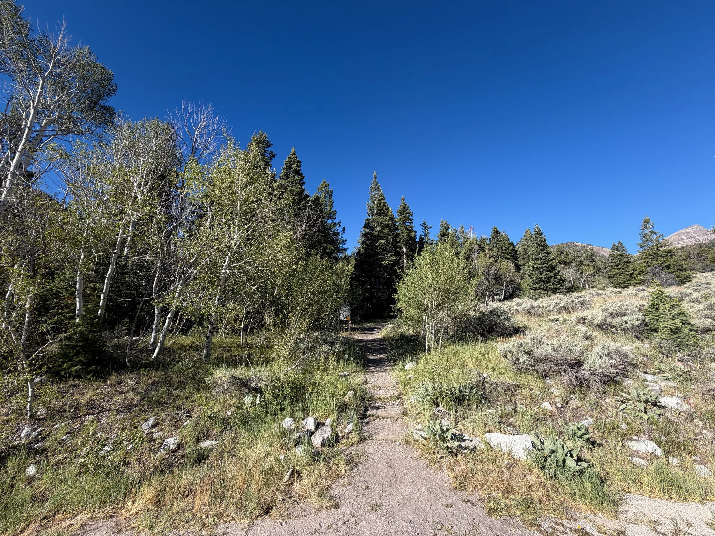 Baker Lake Trailhead Great Basin National Park Nevada