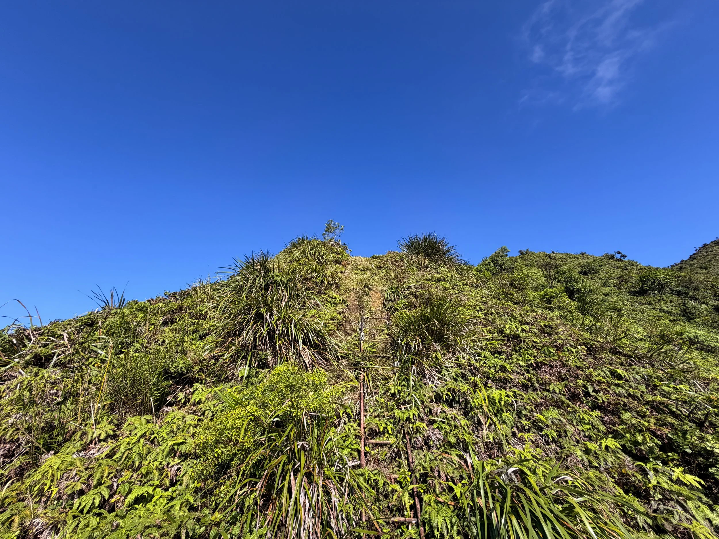 Moanalua Saddle to Stairway to Heaven Koolau Summit Trail Oahu Hawaii