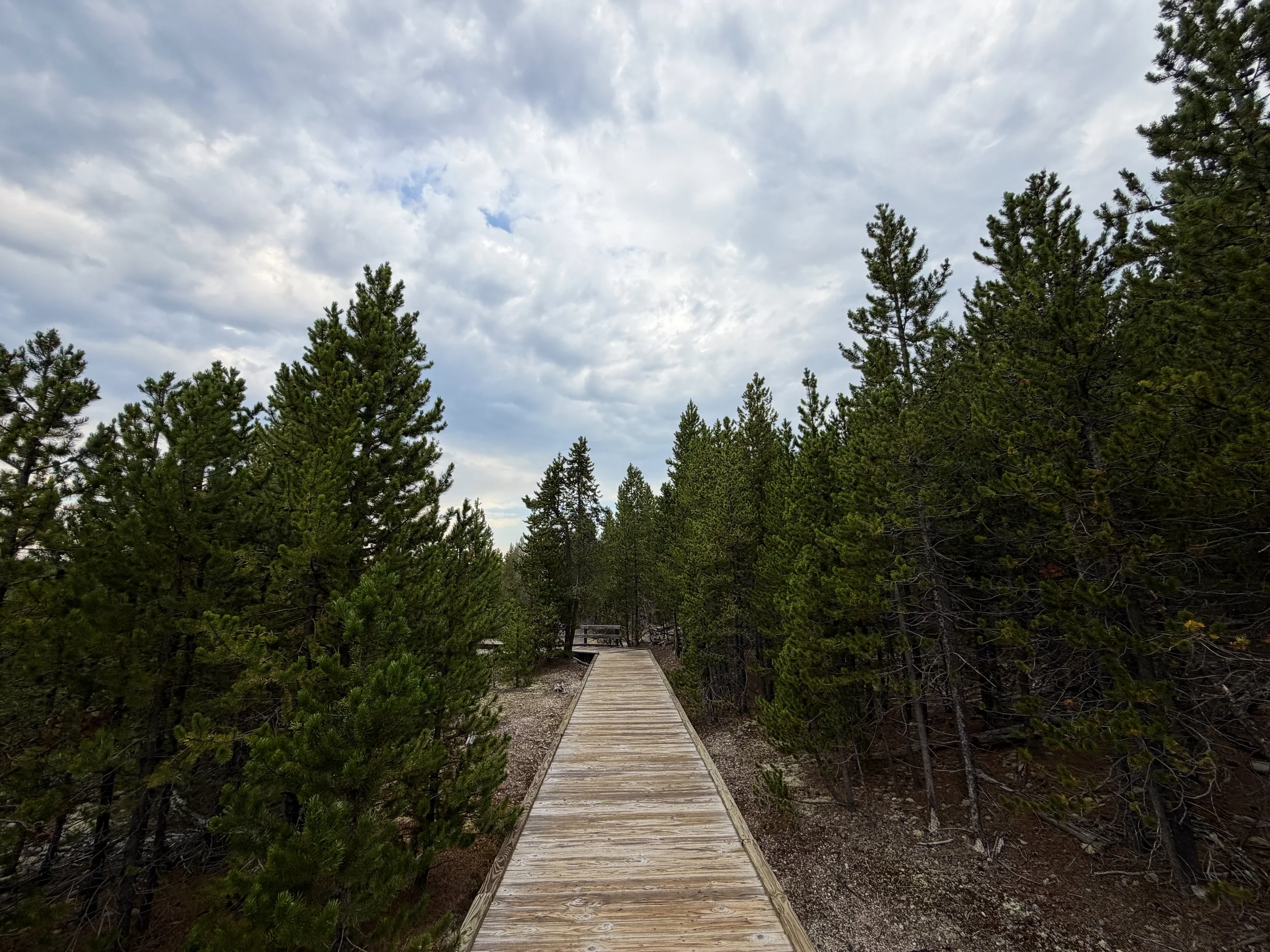 Back Basin Shortcut Trail Norris Geyser Basin Yellowstone National Park Wyoming