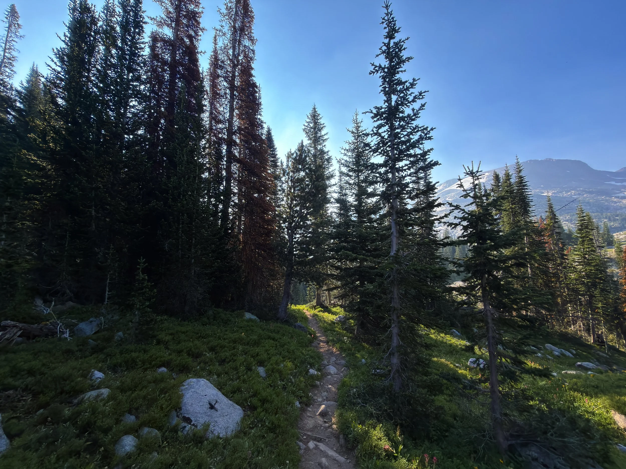 Beaten Path Hike Beartooth Mountains Montana