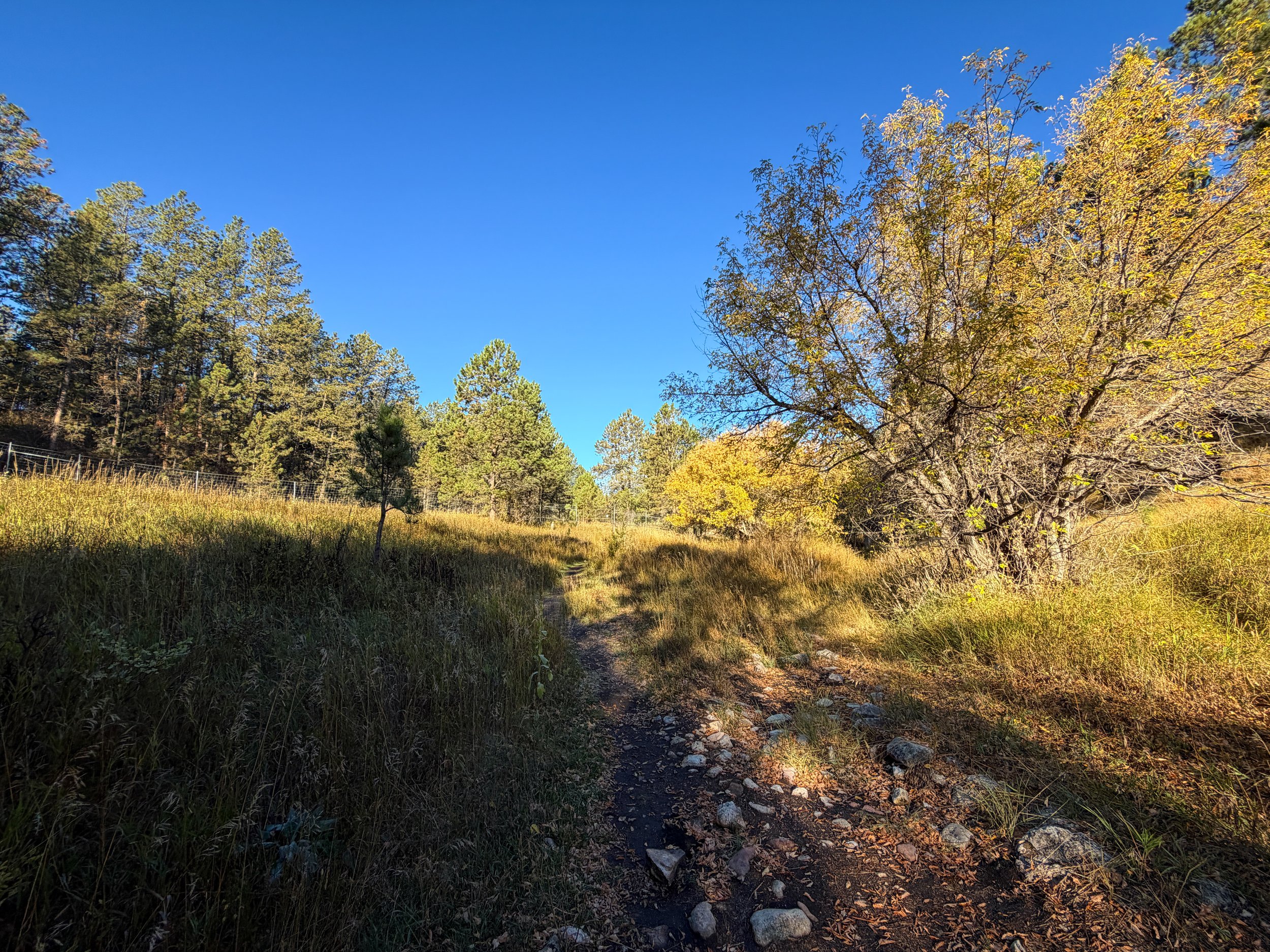 Cold Brook Canyon Trail Wind Cave National Park South Dakota
