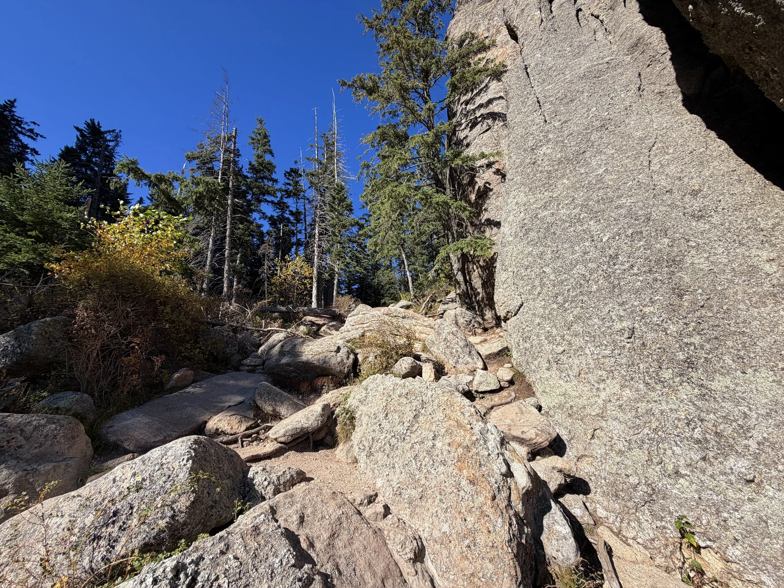 Cathedral Spires Trail Custer State Park Black Hills South Dakota