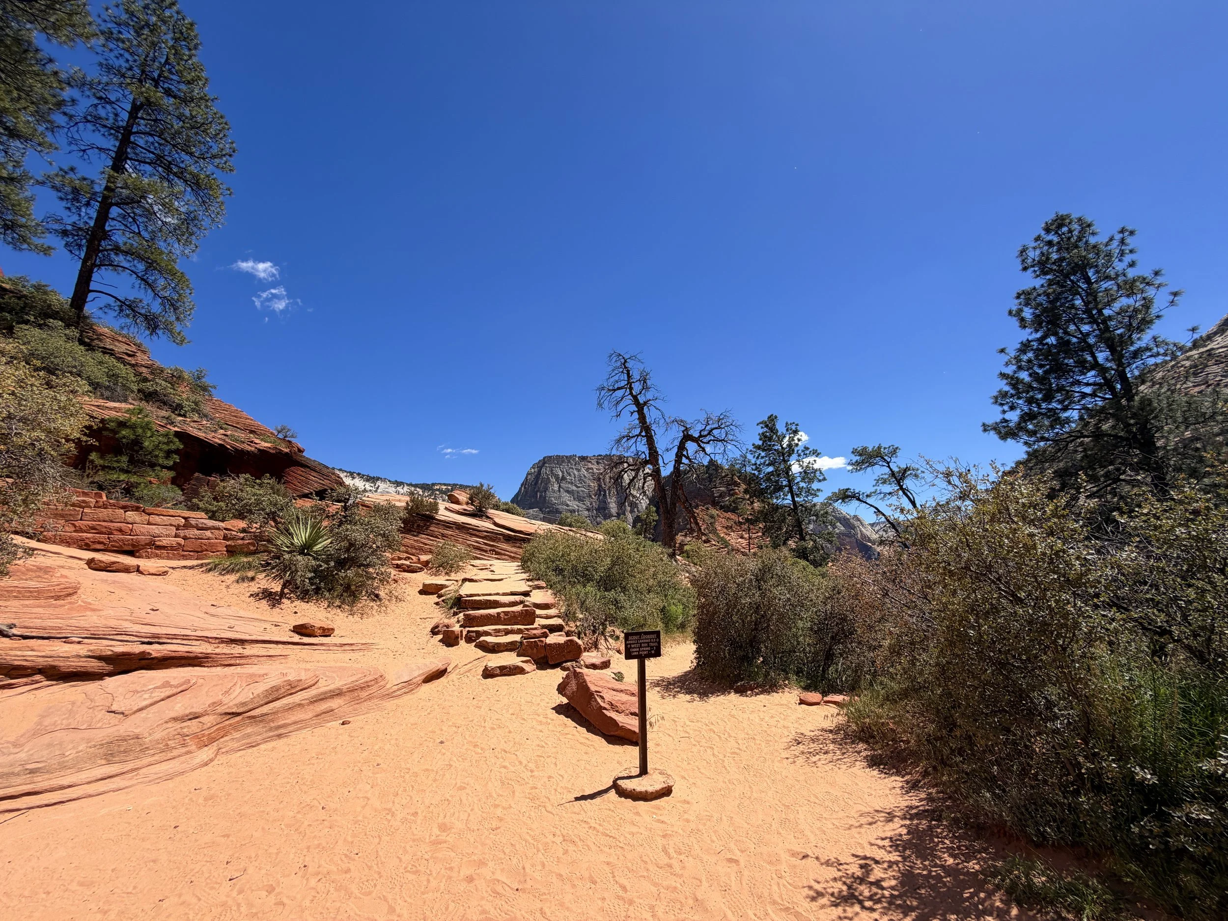 Angels Landing Trail Scout Lookout Zion National Park Utah