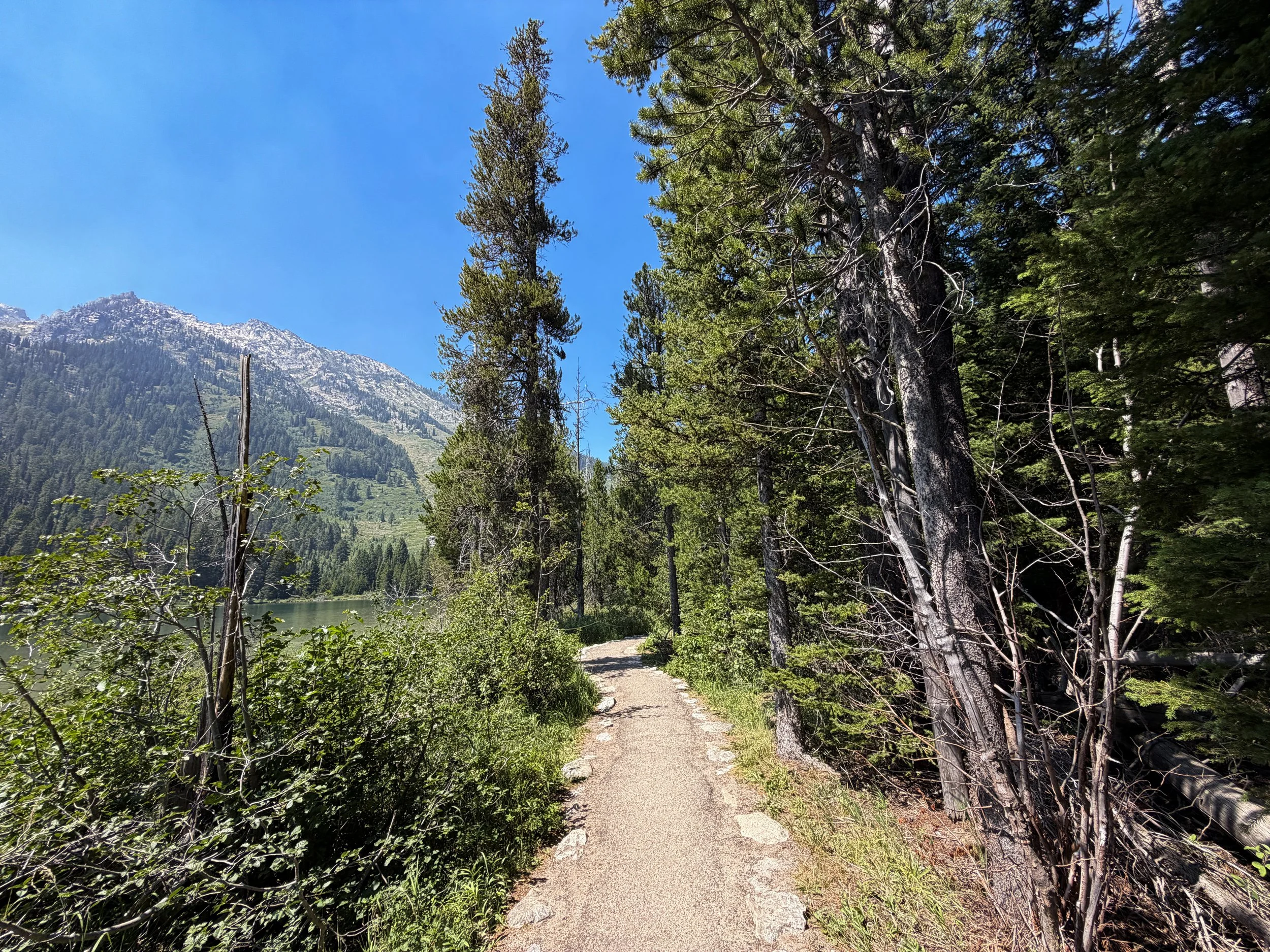 String Lake Loop Trail Grand Teton National Park Wyoming