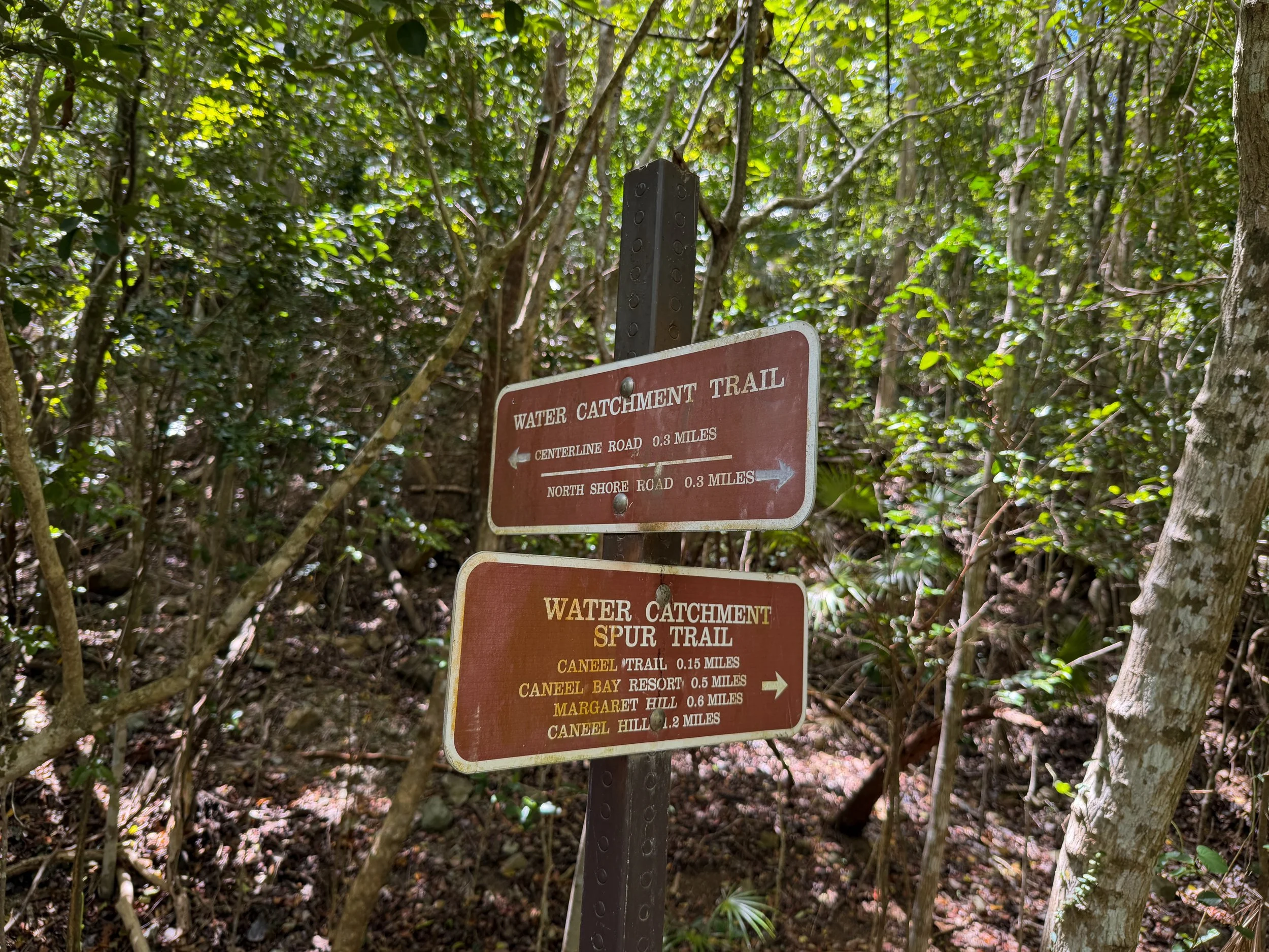 Water Catchment Trail Virgin Islands National Park