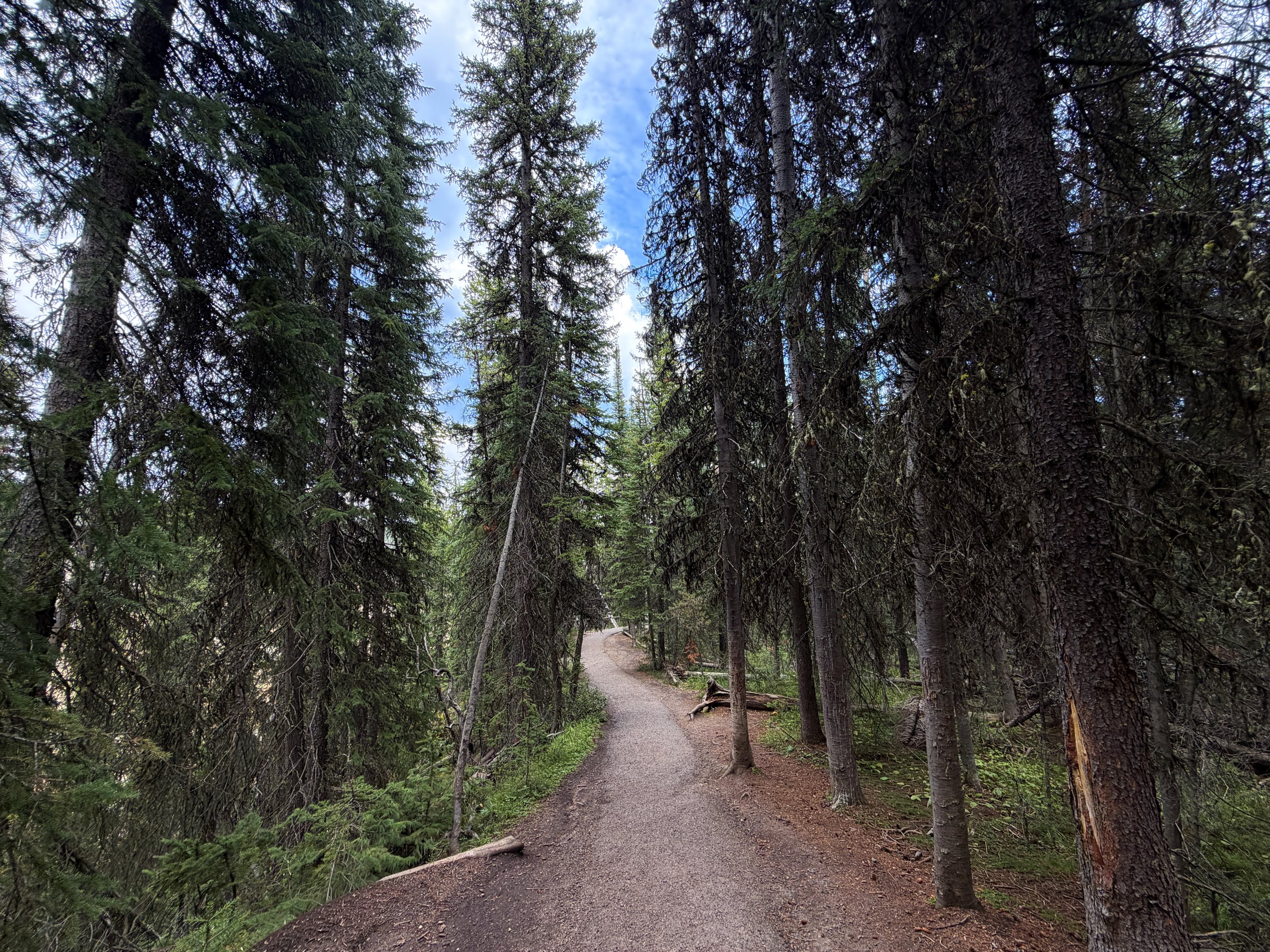 South Rim Hike Yellowstone National Park Wyoming