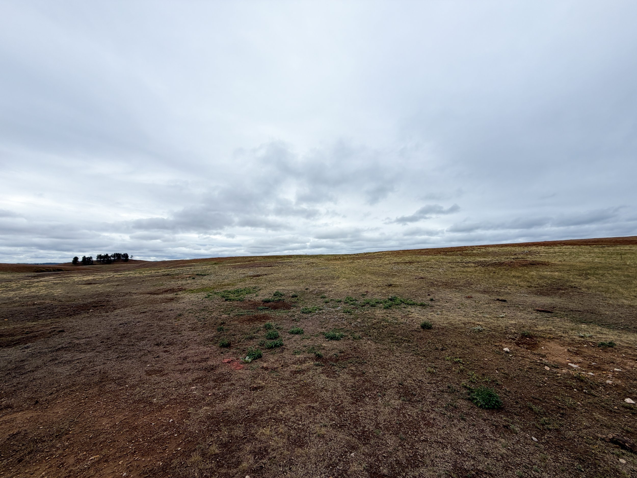 Highland Creek Trail Wind Cave National Park South Dakota
