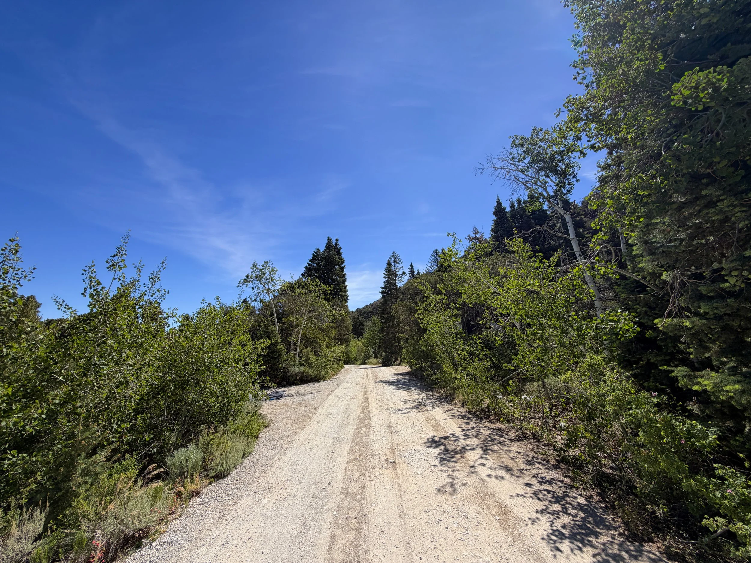 Baker Creek Campground Pole Canyon Trail Great Basin National Park Nevada