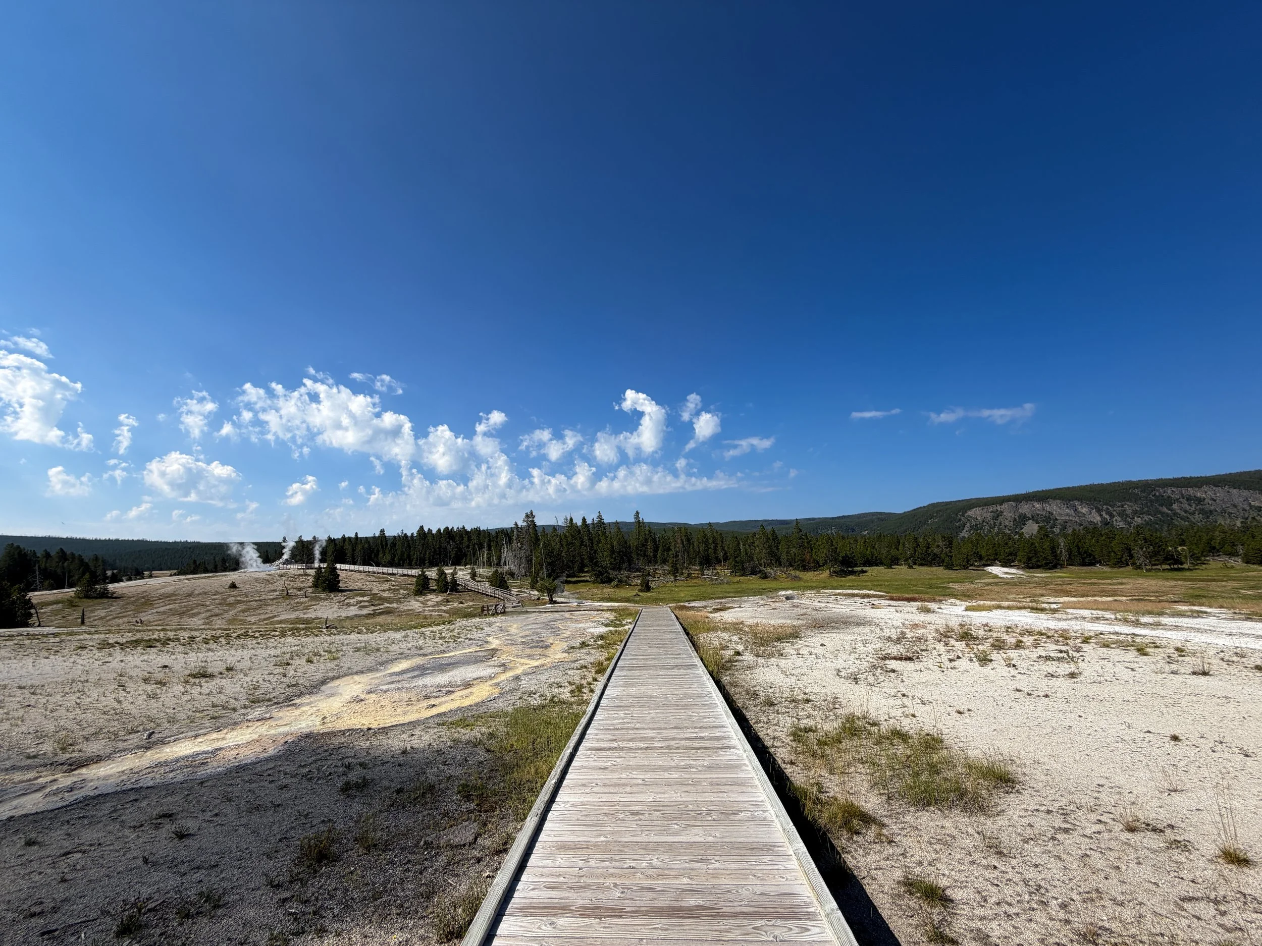 Upper Geyser Basin Trail Yellowstone National Park Wyoming