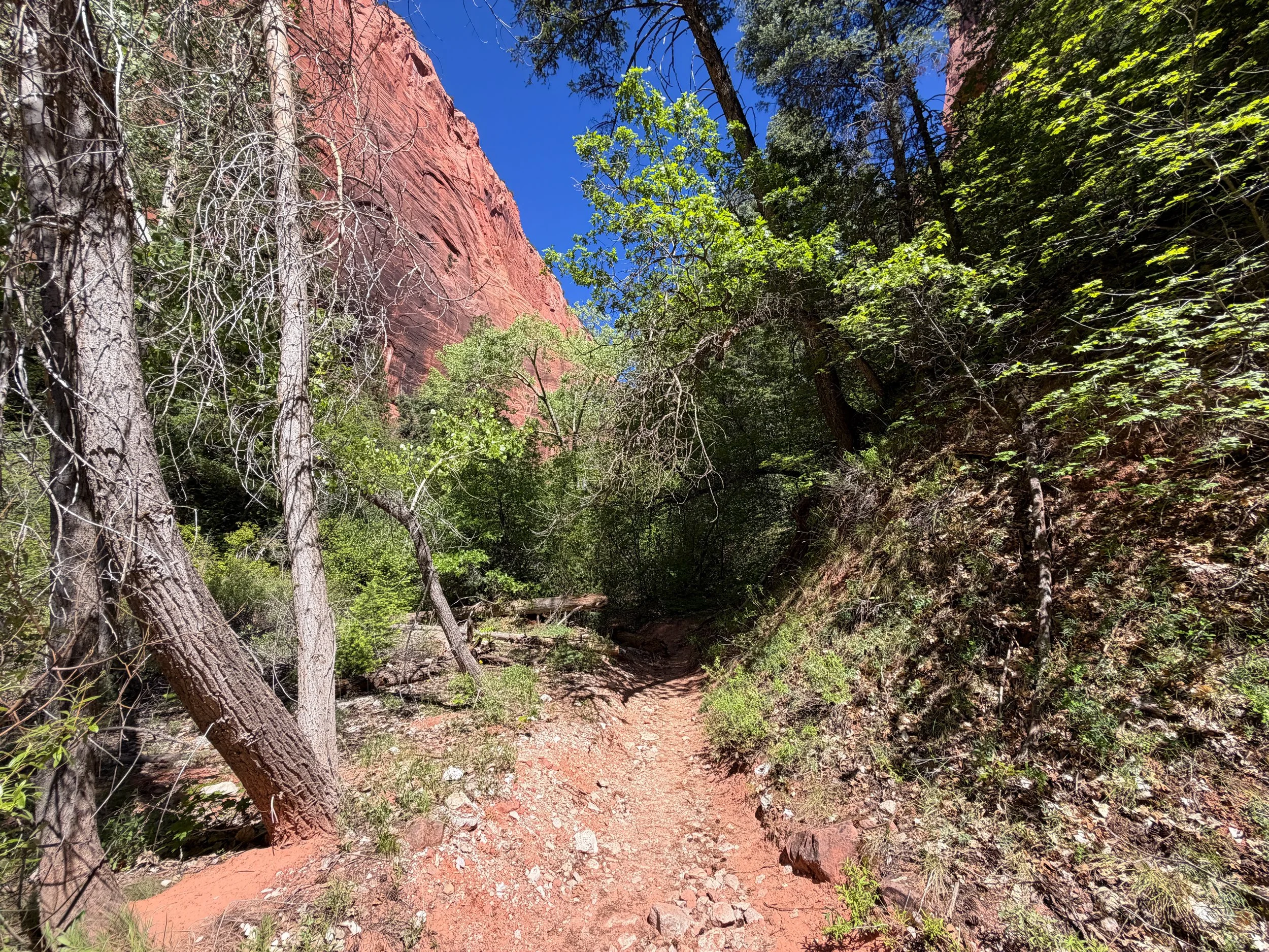 Middle Taylor Creek Trail Zion National Park Utah