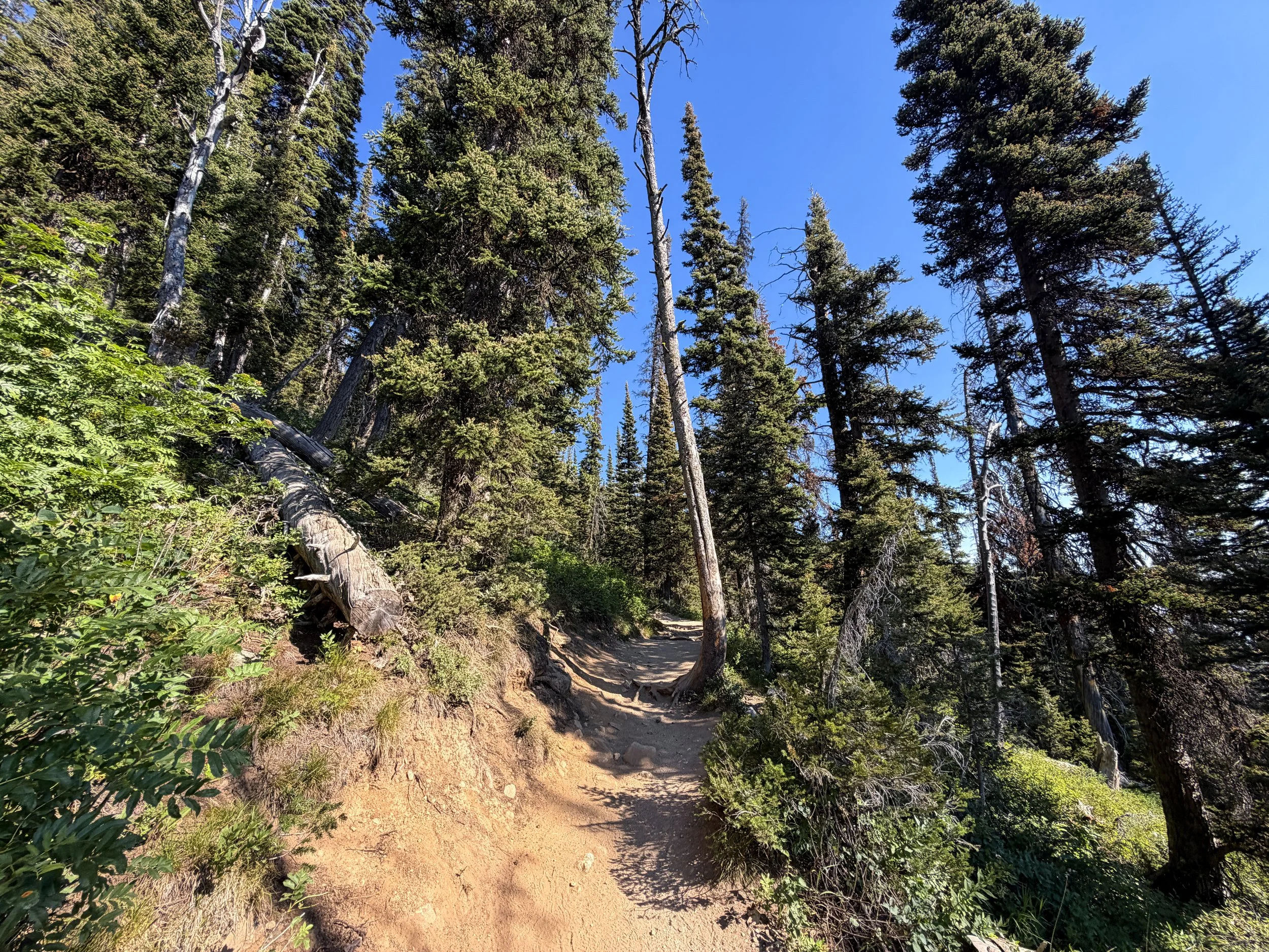 Delta Lake Trail via Lupine Meadows Grand Teton National Park Wyoming