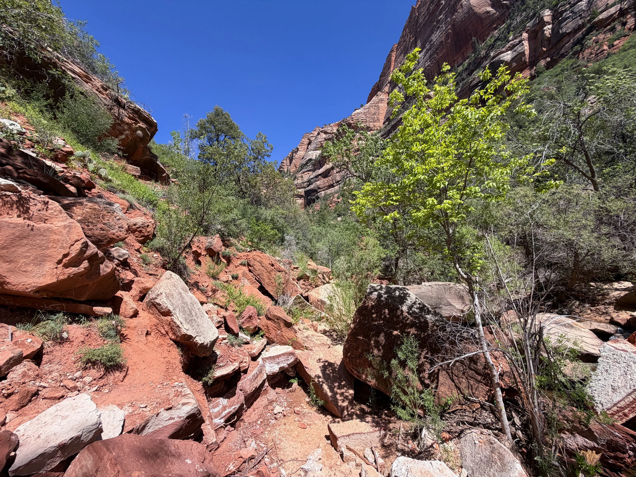 Subway Trail Zion National Park Utah