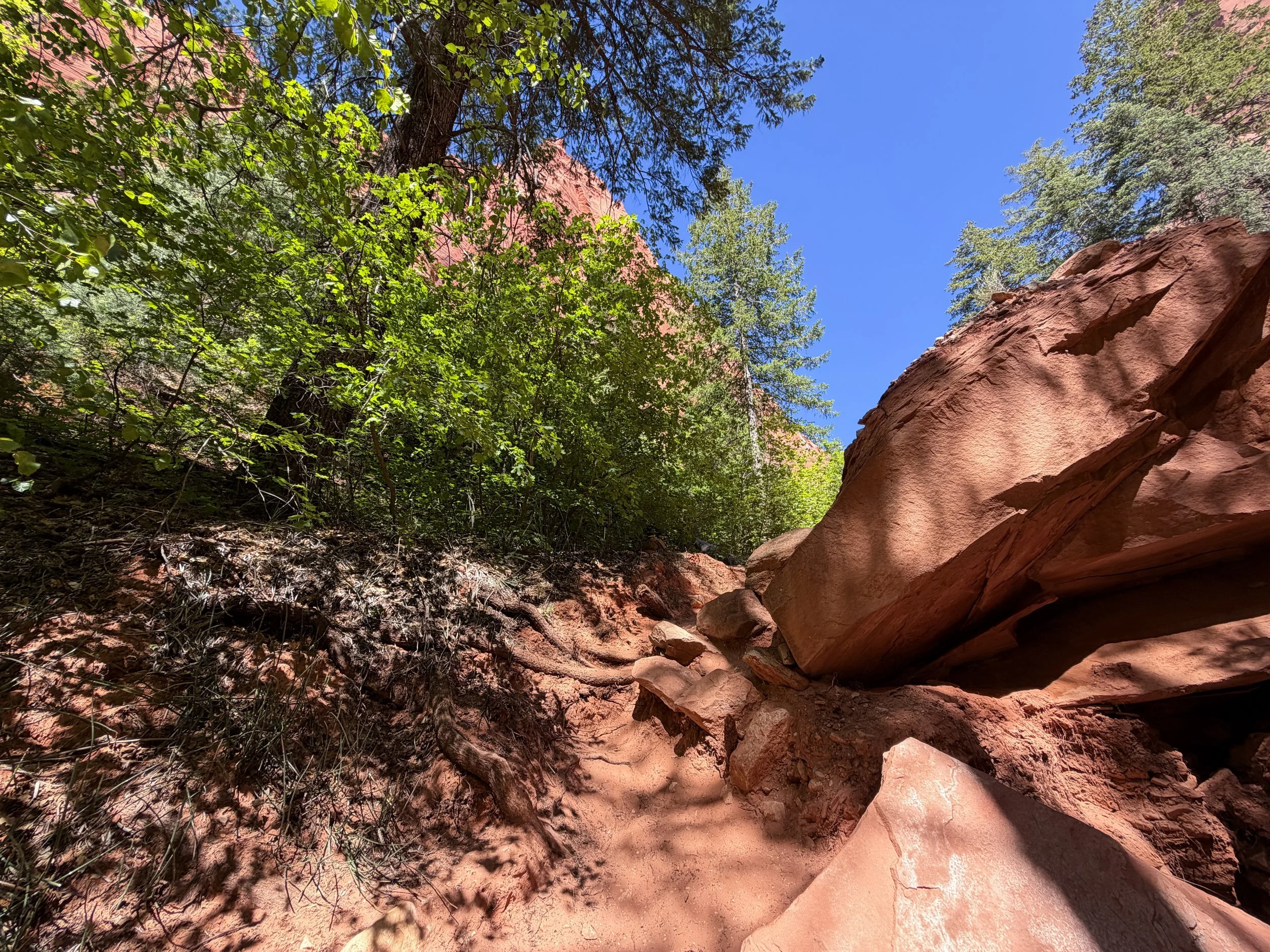Middle Taylor Creek Trail Zion National Park Utah