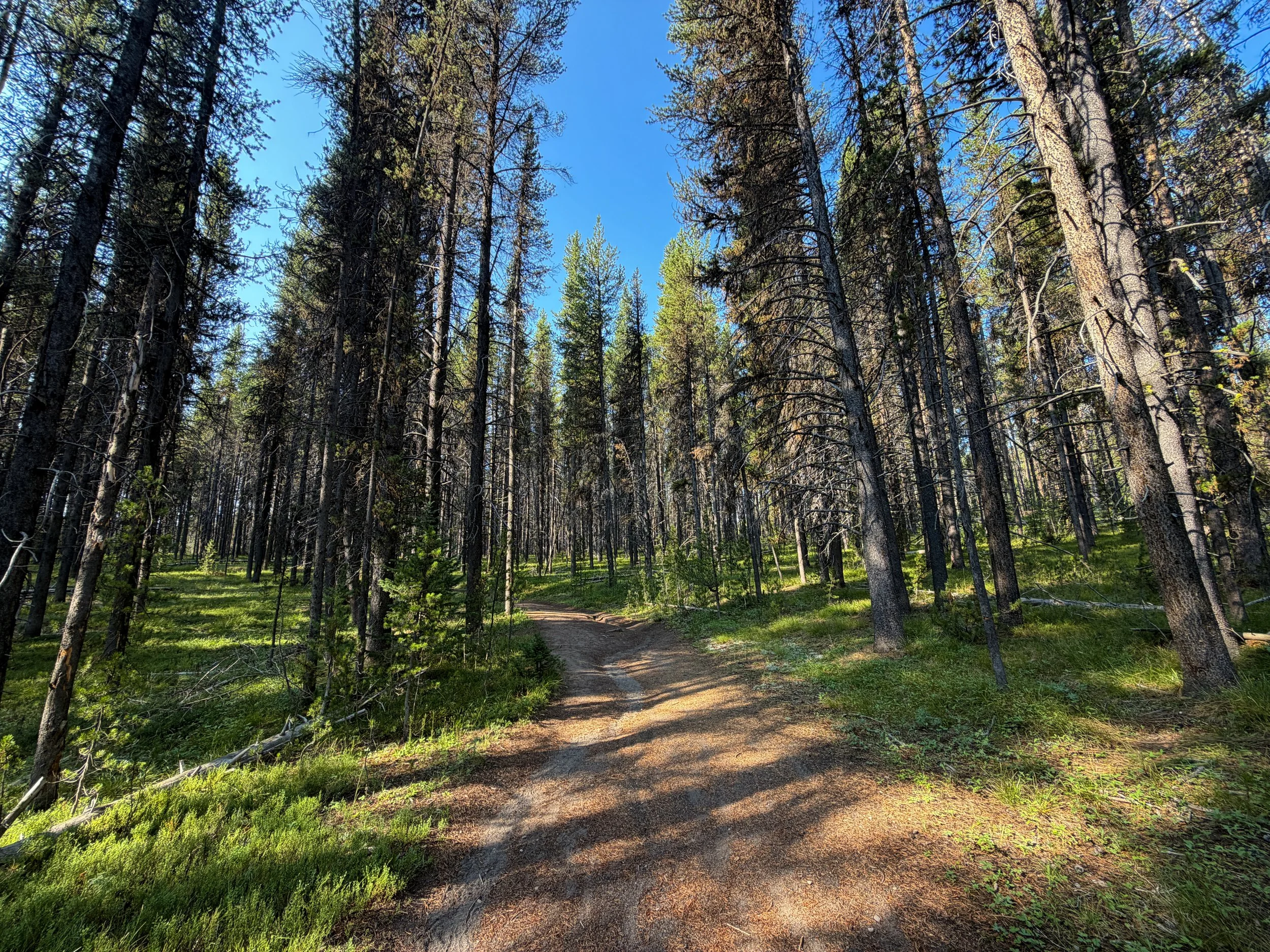 Natural Bridge Trail Yellowstone National Park Wyoming