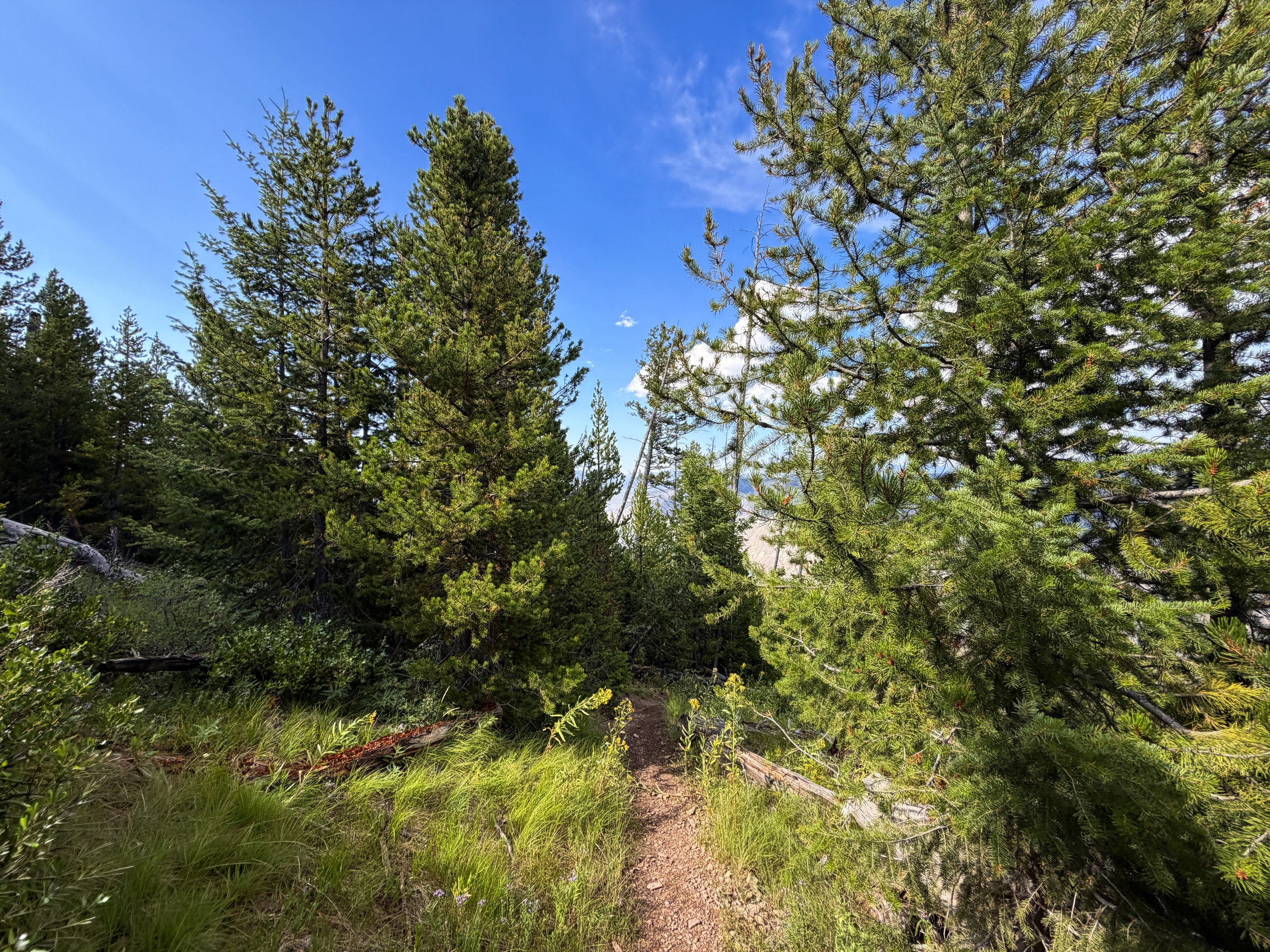 Bunsen Peak Trail Yellowstone National Park Wyoming