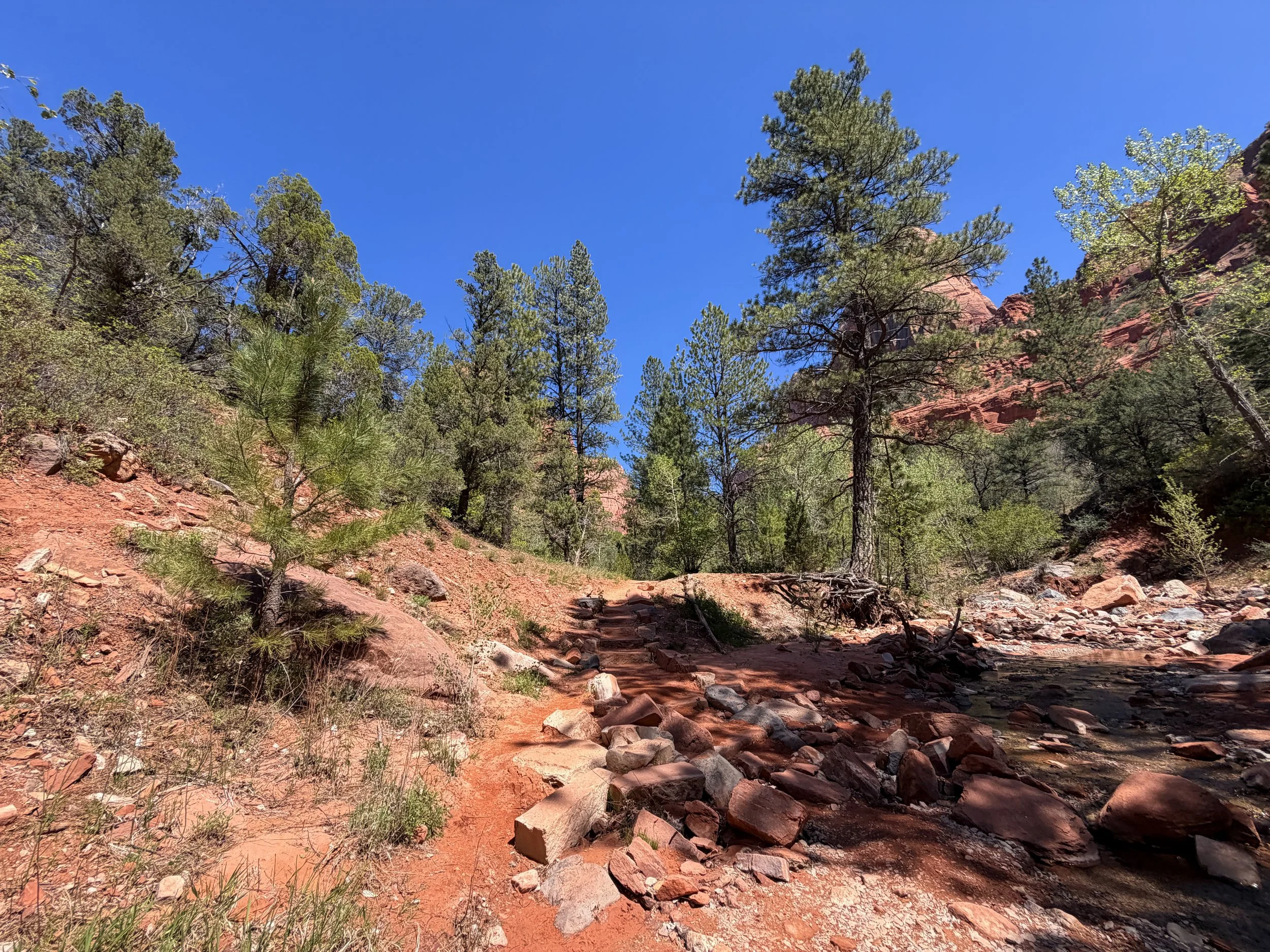 Middle Taylor Creek Trail to Double Arch Alcove Zion National Park Utah
