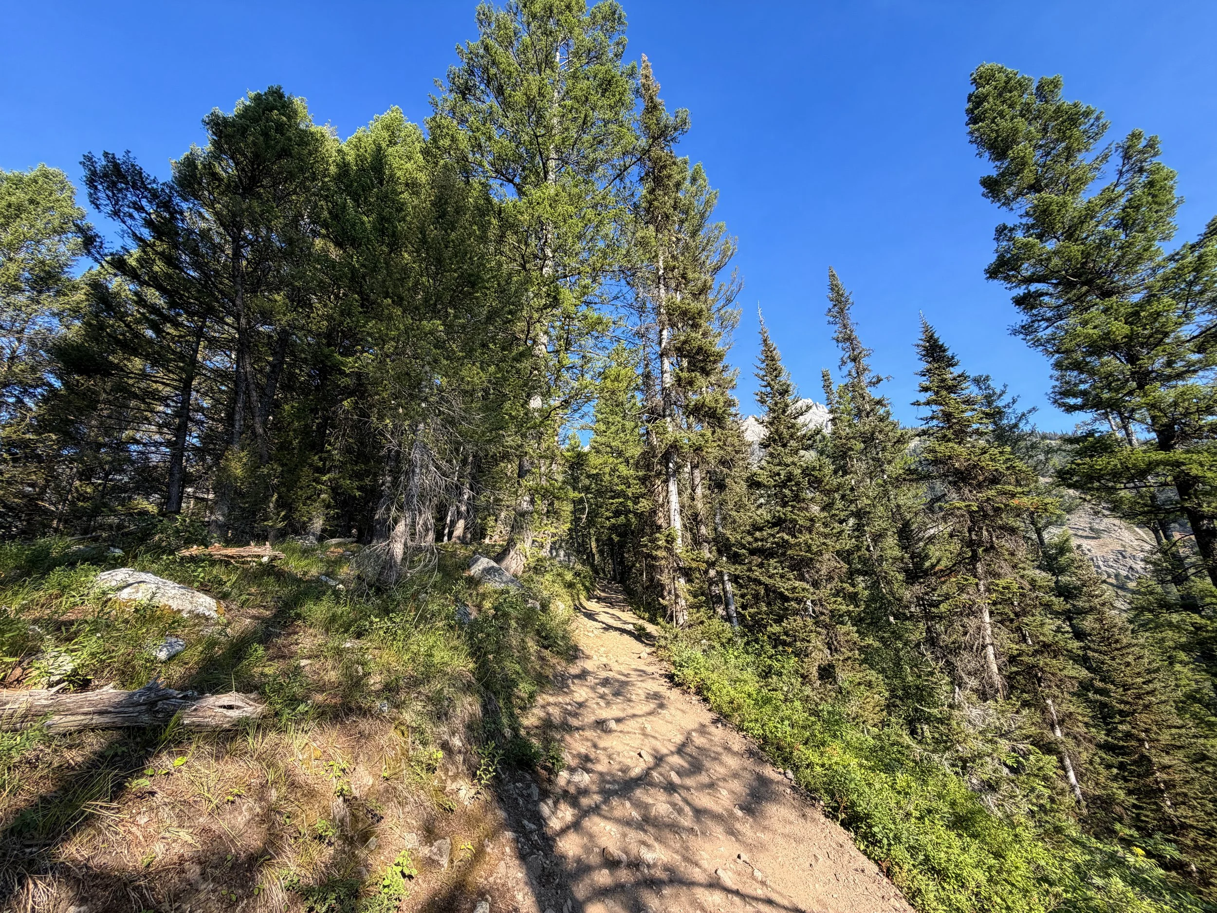 Delta Lake Trail Grand Teton National Park Wyoming