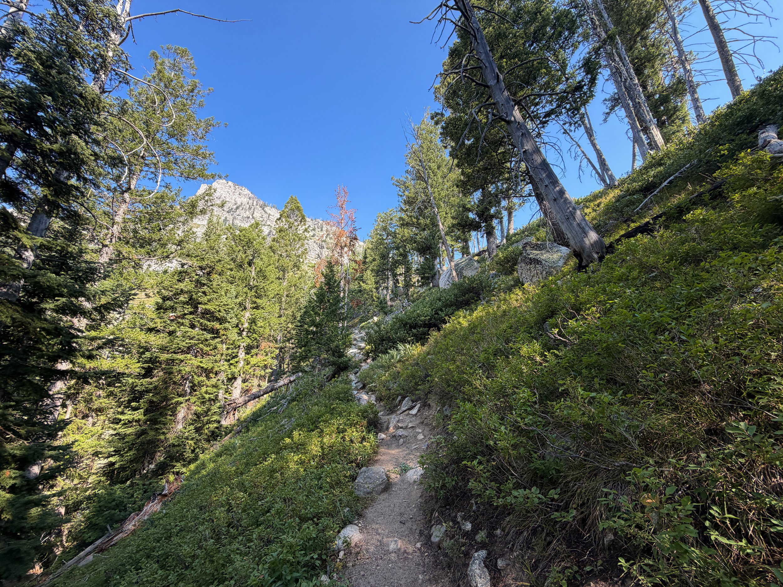 Lake of the Crags Hike Grand Teton National Park Wyoming